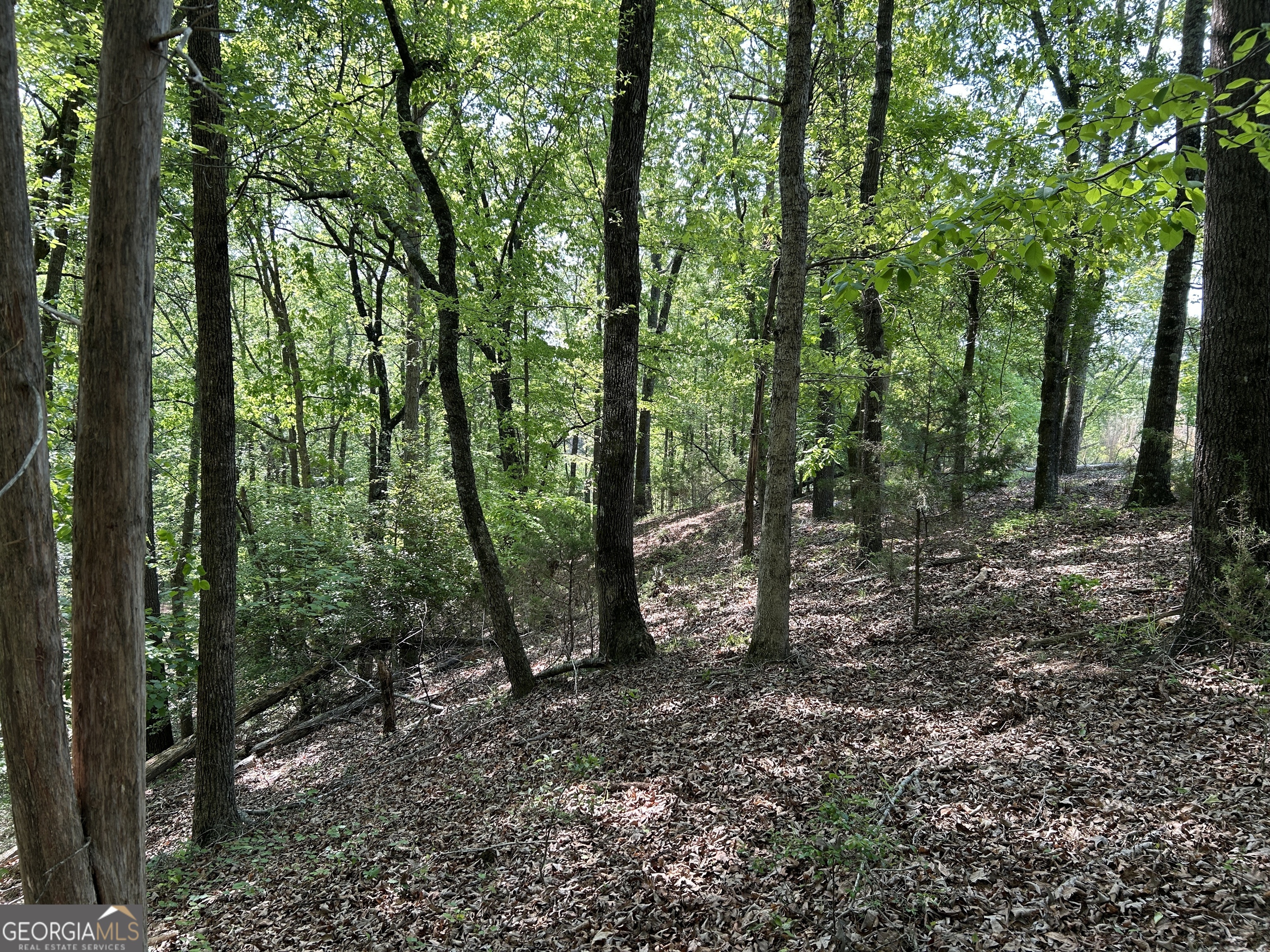 1745 Hannah Creek Church Road Royston, GA 30662 - Photo 23 of 60