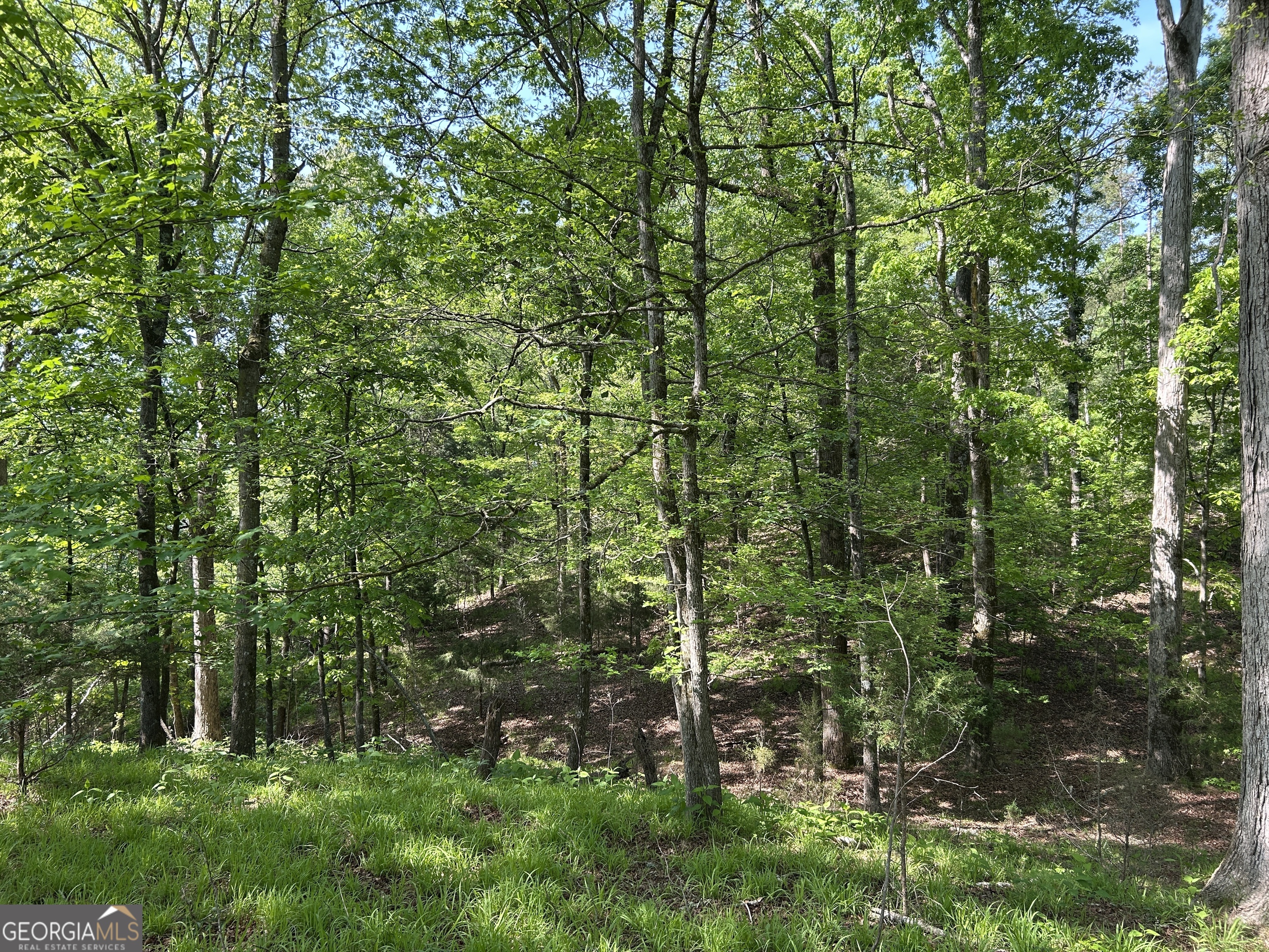 1745 Hannah Creek Church Road Royston, GA 30662 - Photo 24 of 60