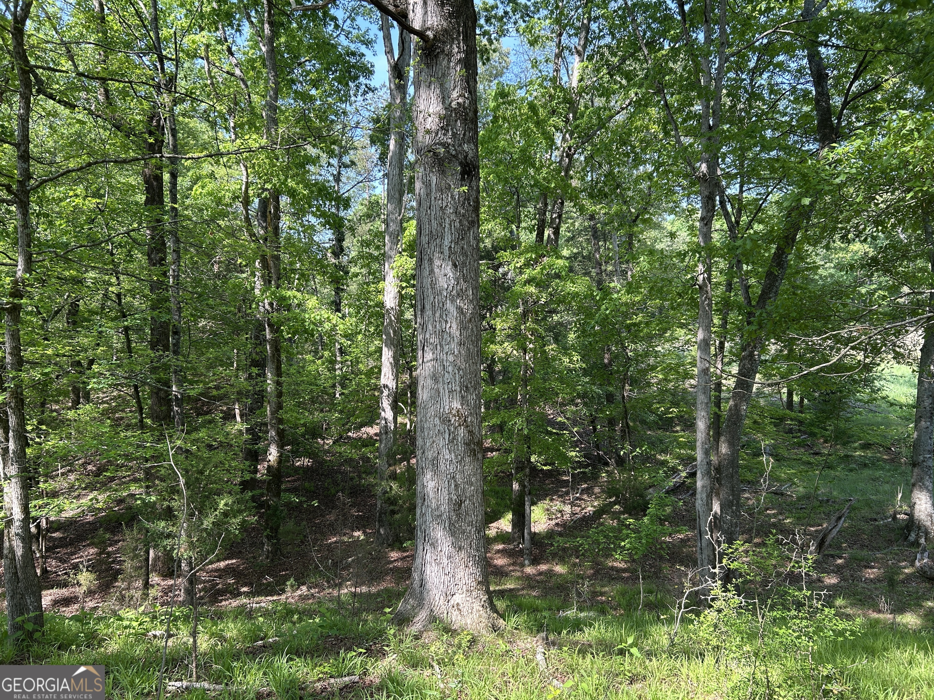 1745 Hannah Creek Church Road Royston, GA 30662 - Photo 25 of 60