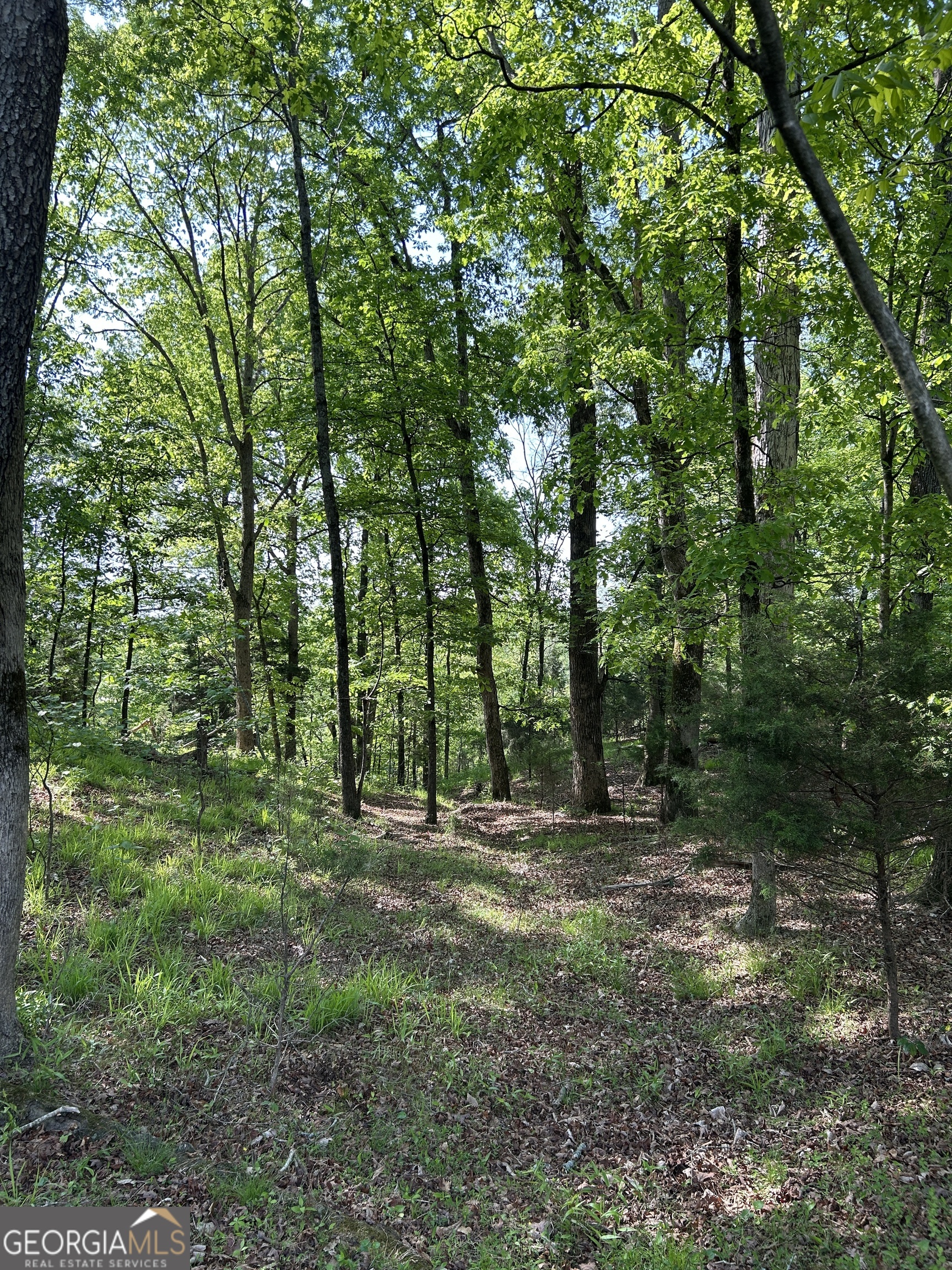 1745 Hannah Creek Church Road Royston, GA 30662 - Photo 27 of 60