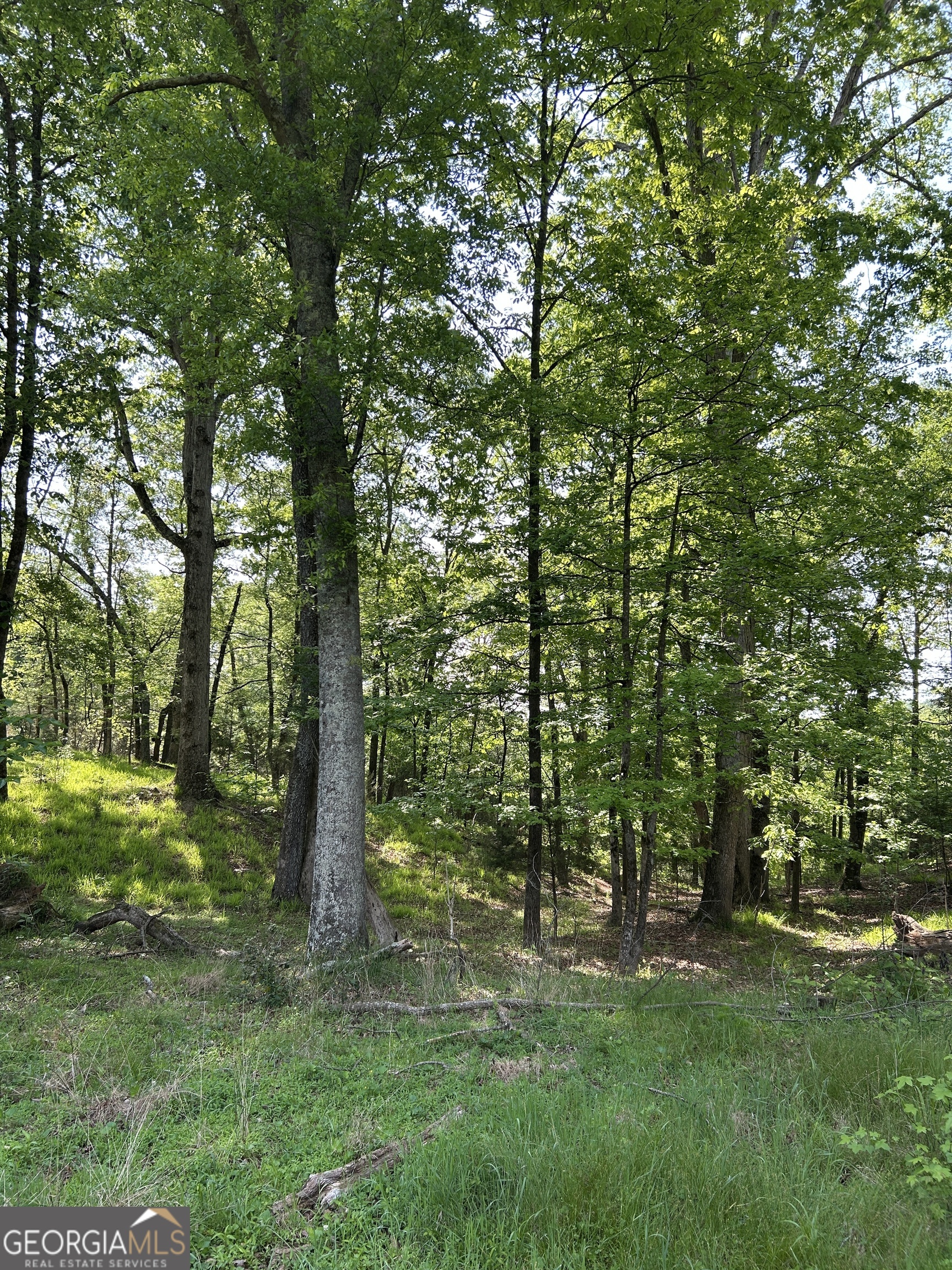 1745 Hannah Creek Church Road Royston, GA 30662 - Photo 28 of 60