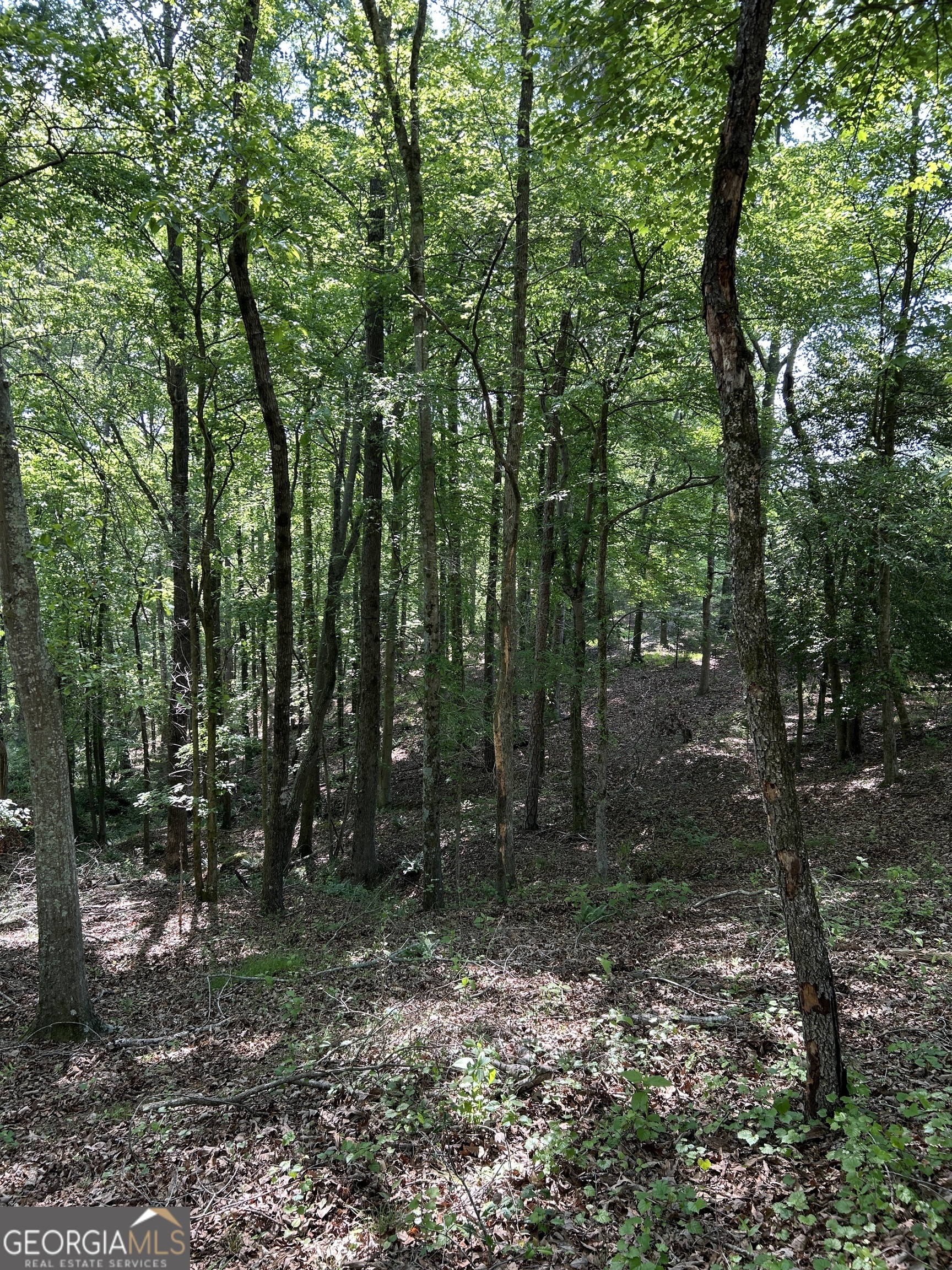 1745 Hannah Creek Church Road Royston, GA 30662 - Photo 29 of 60