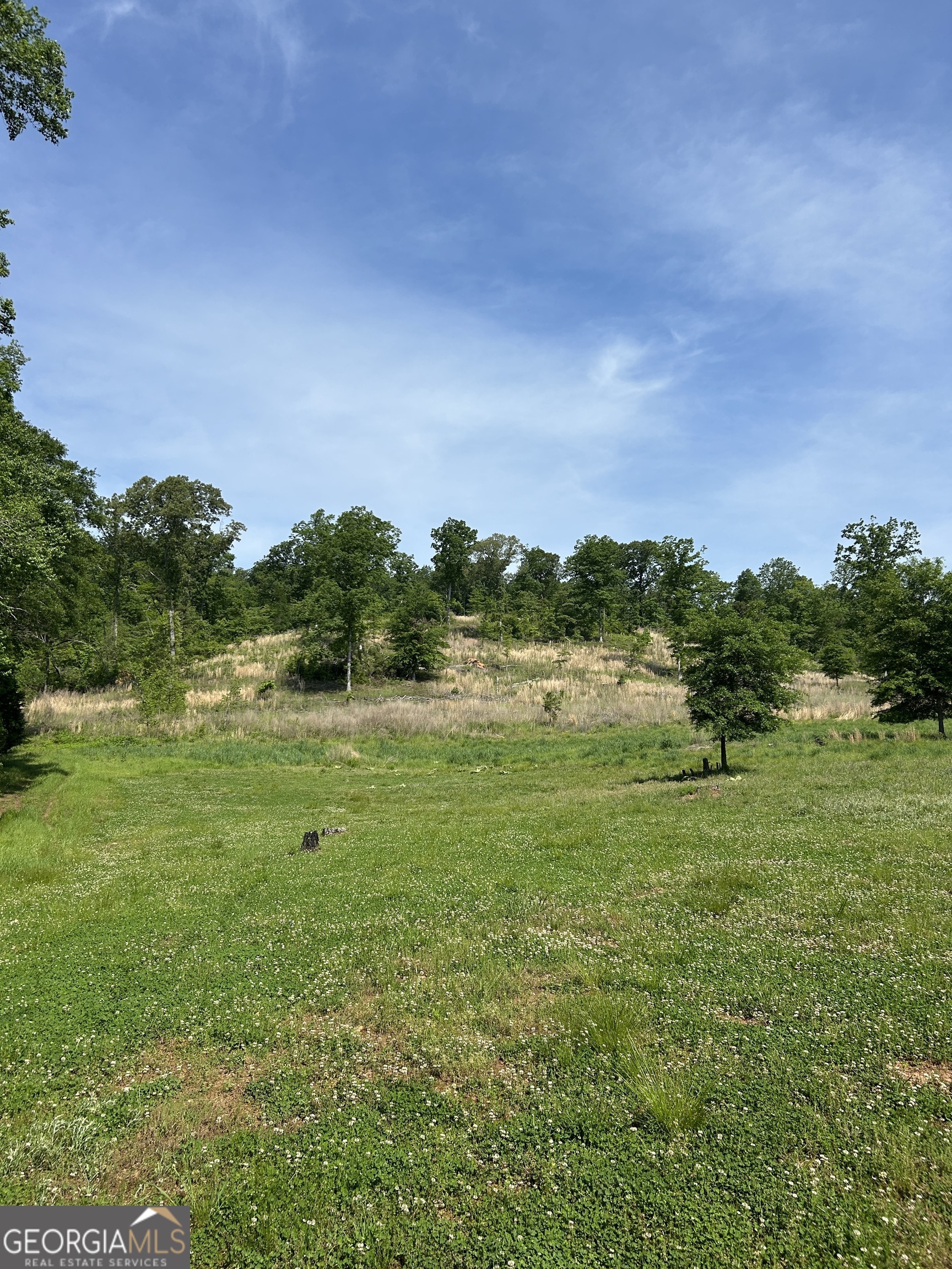 1745 Hannah Creek Church Road Royston, GA 30662 - Photo 3 of 60