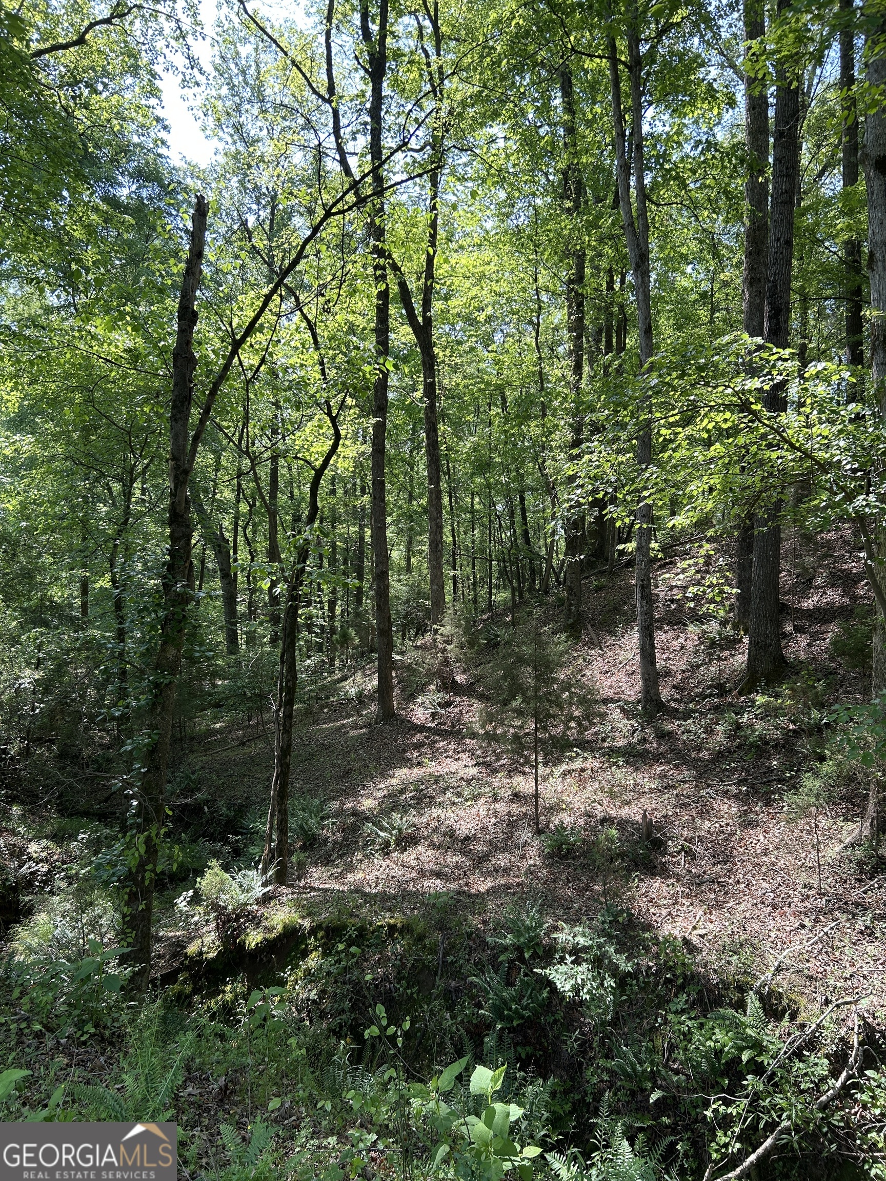 1745 Hannah Creek Church Road Royston, GA 30662 - Photo 31 of 60