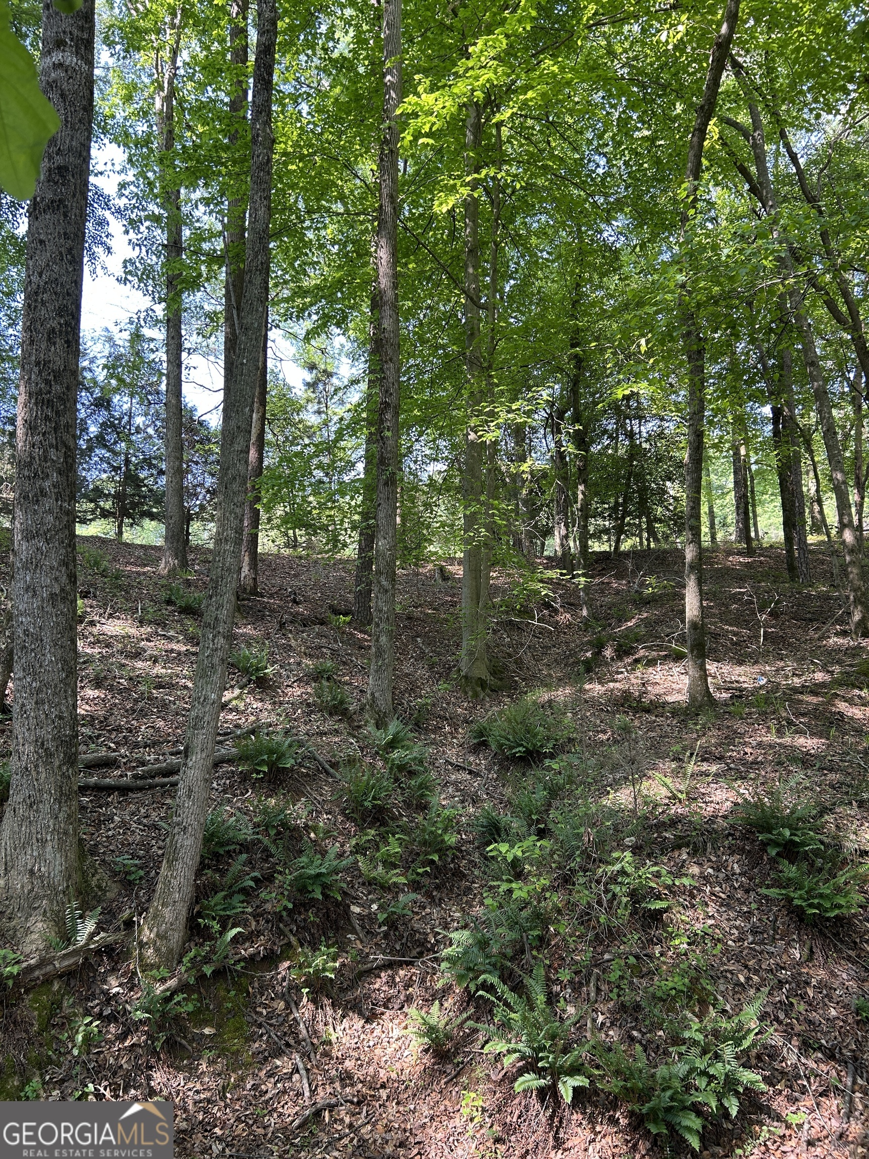 1745 Hannah Creek Church Road Royston, GA 30662 - Photo 33 of 60