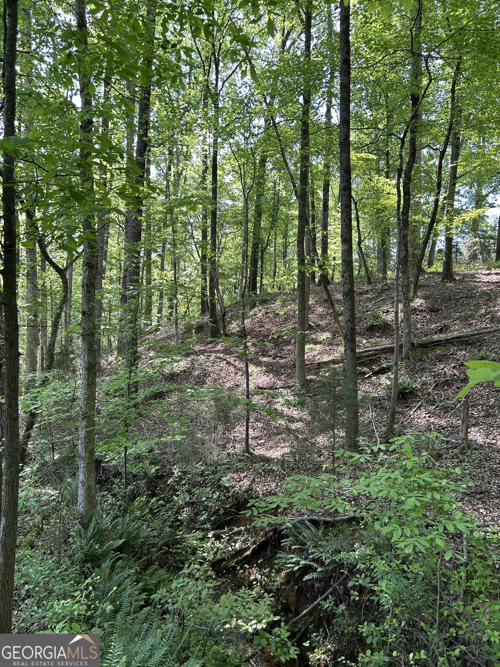 1745 Hannah Creek Church Road Royston, GA 30662 - Photo 34 of 60