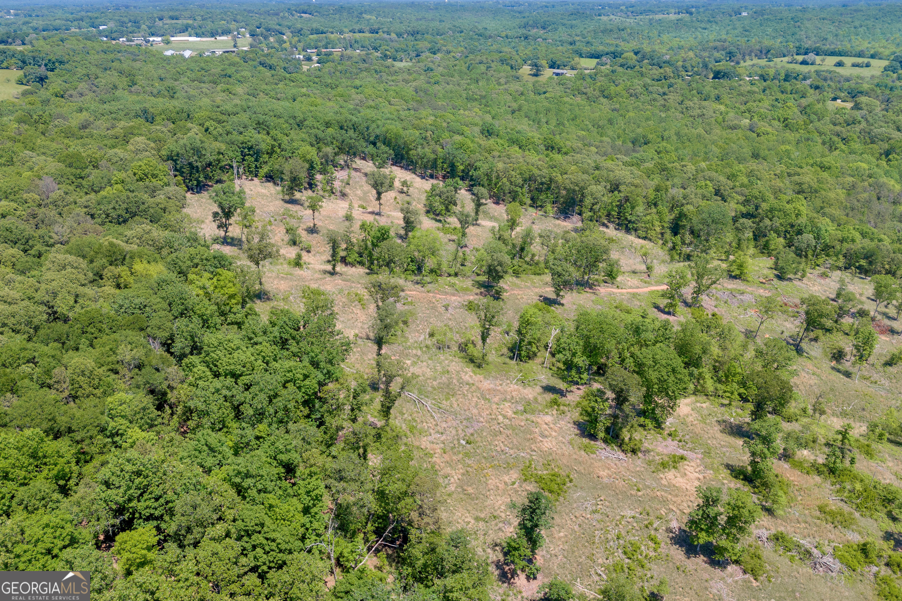 1745 Hannah Creek Church Road Royston, GA 30662 - Photo 38 of 60