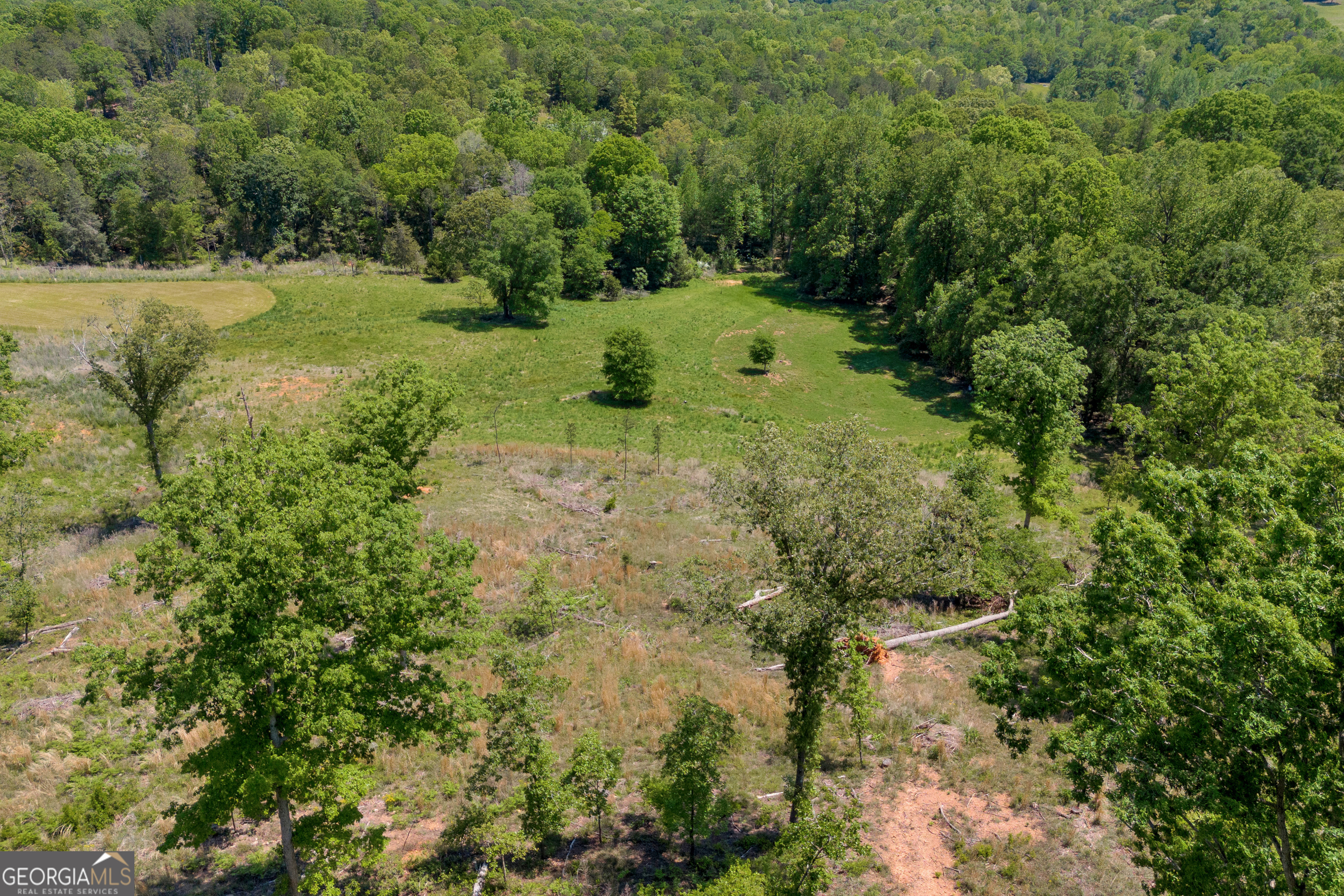 1745 Hannah Creek Church Road Royston, GA 30662 - Photo 41 of 60