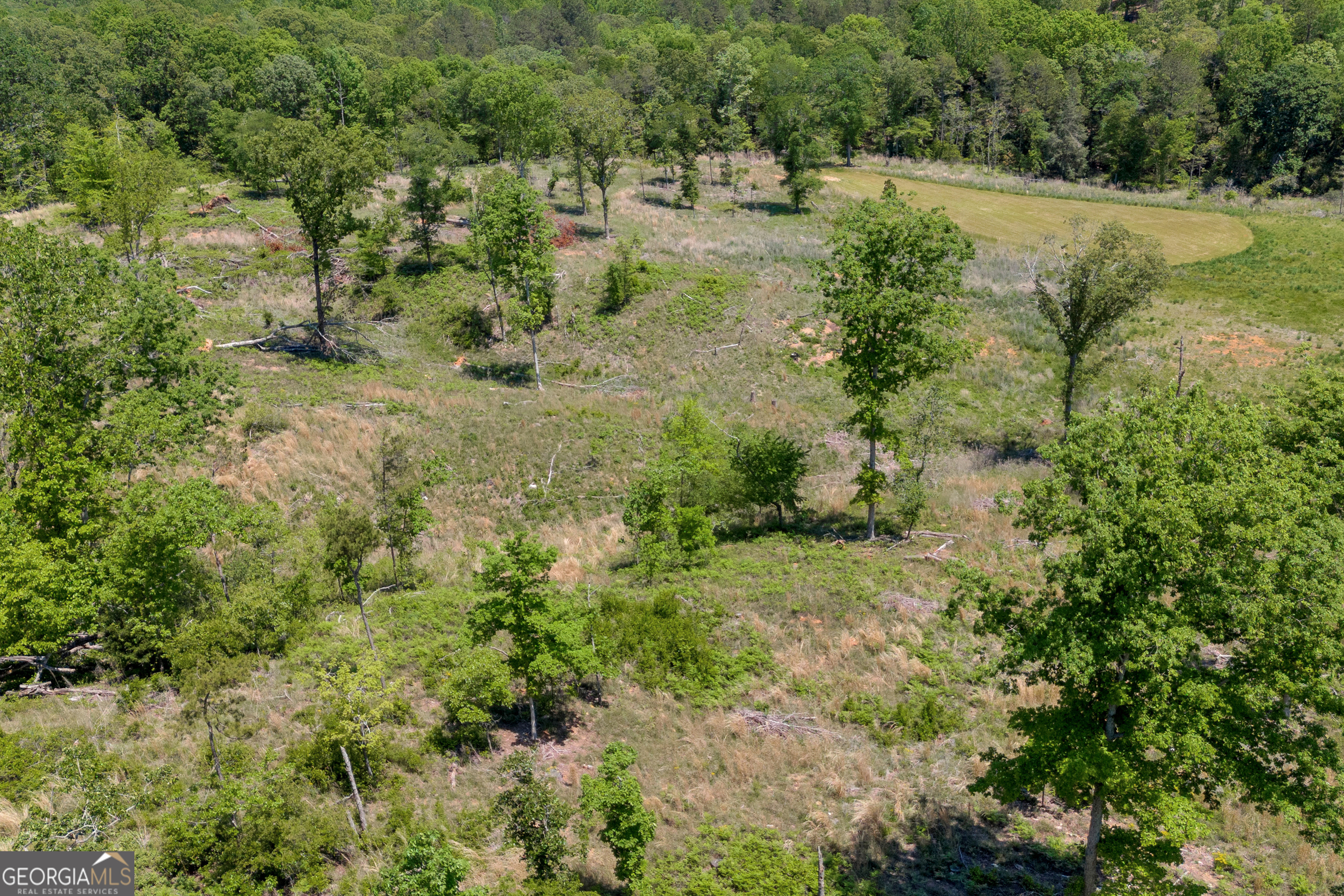 1745 Hannah Creek Church Road Royston, GA 30662 - Photo 42 of 60