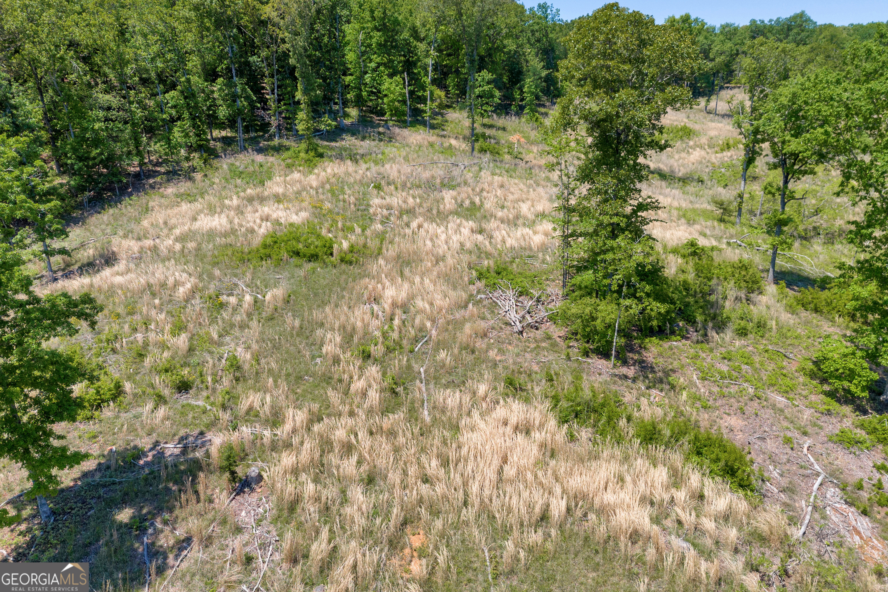 1745 Hannah Creek Church Road Royston, GA 30662 - Photo 43 of 60