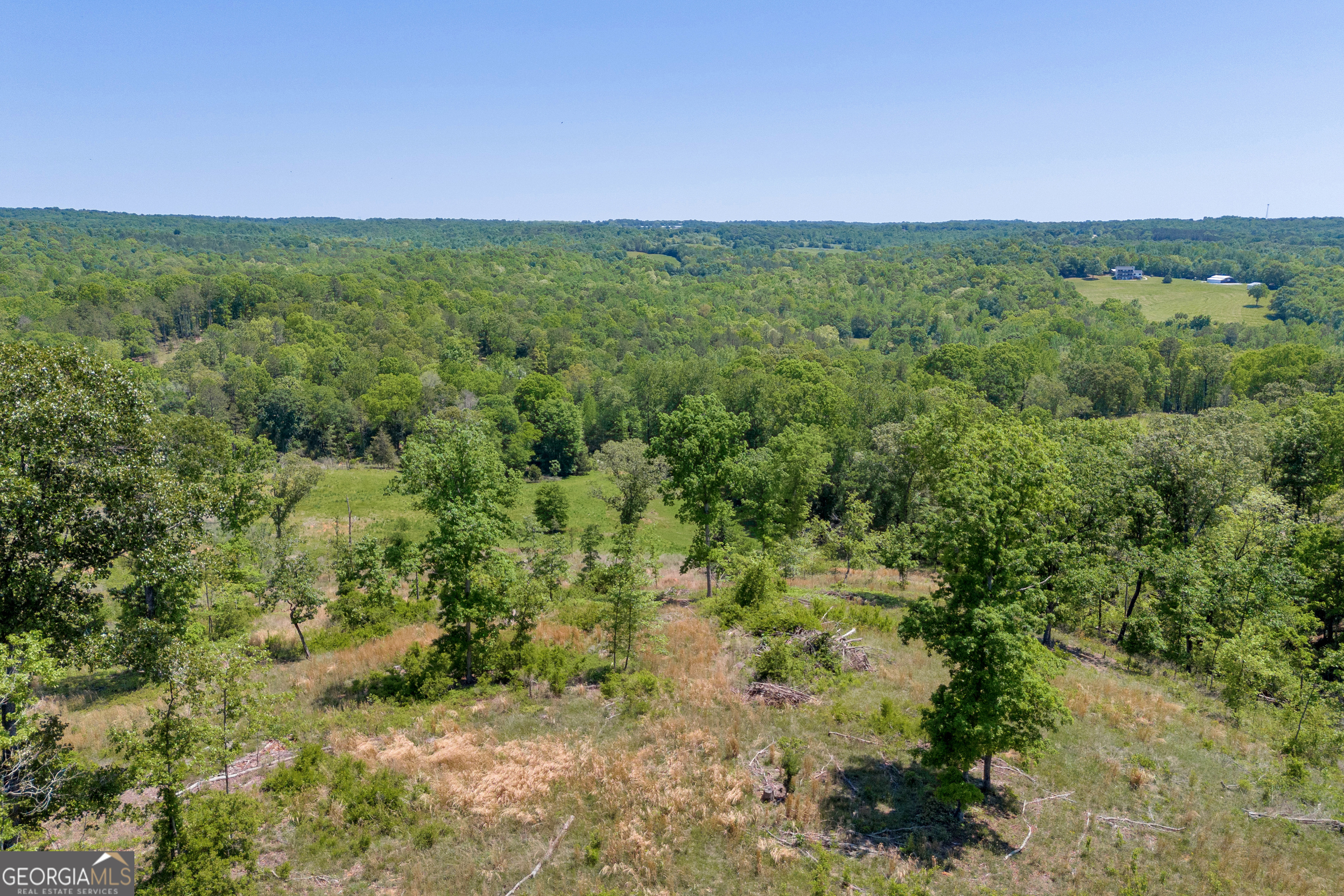 1745 Hannah Creek Church Road Royston, GA 30662 - Photo 44 of 60