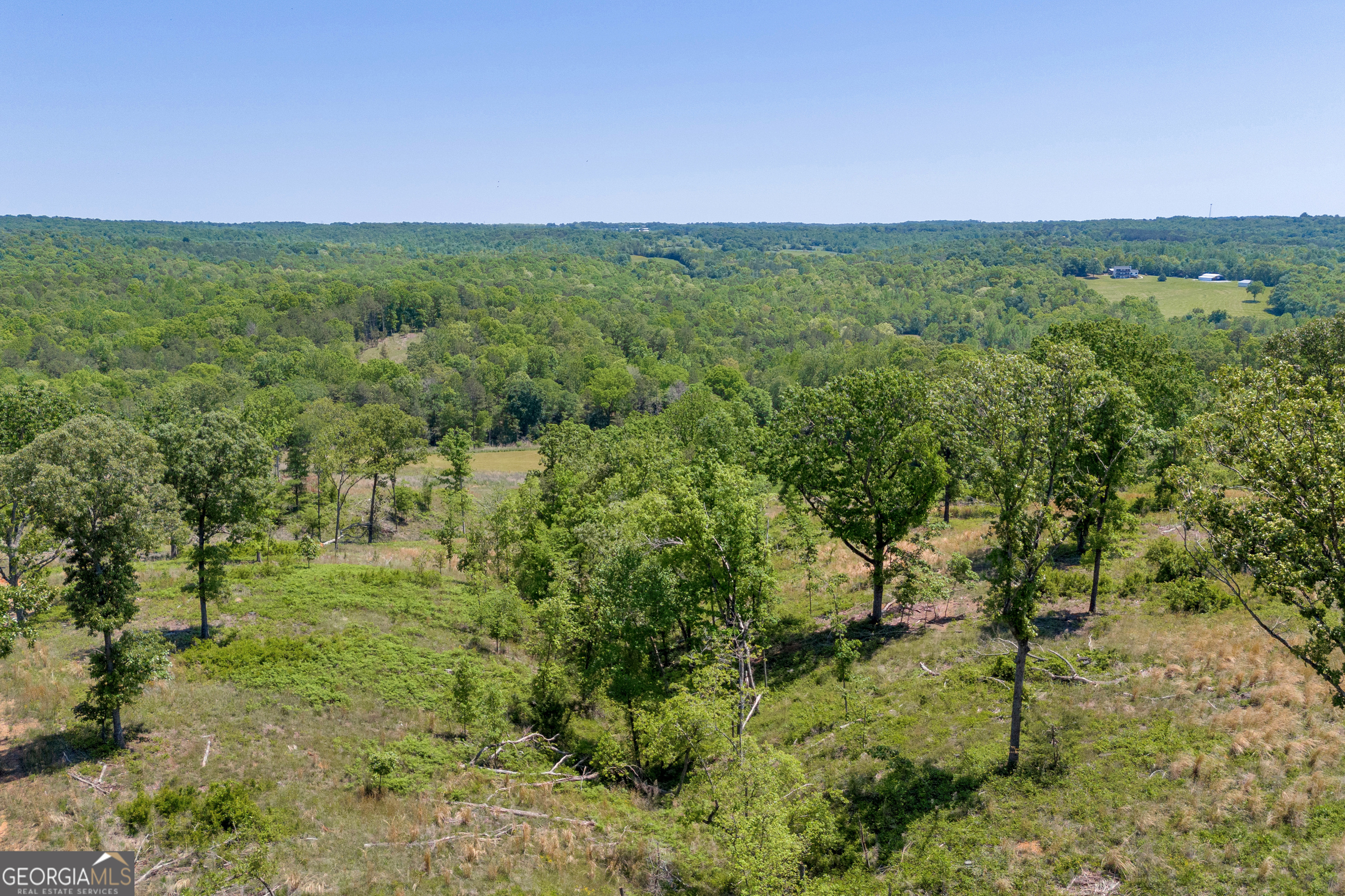 1745 Hannah Creek Church Road Royston, GA 30662 - Photo 45 of 60