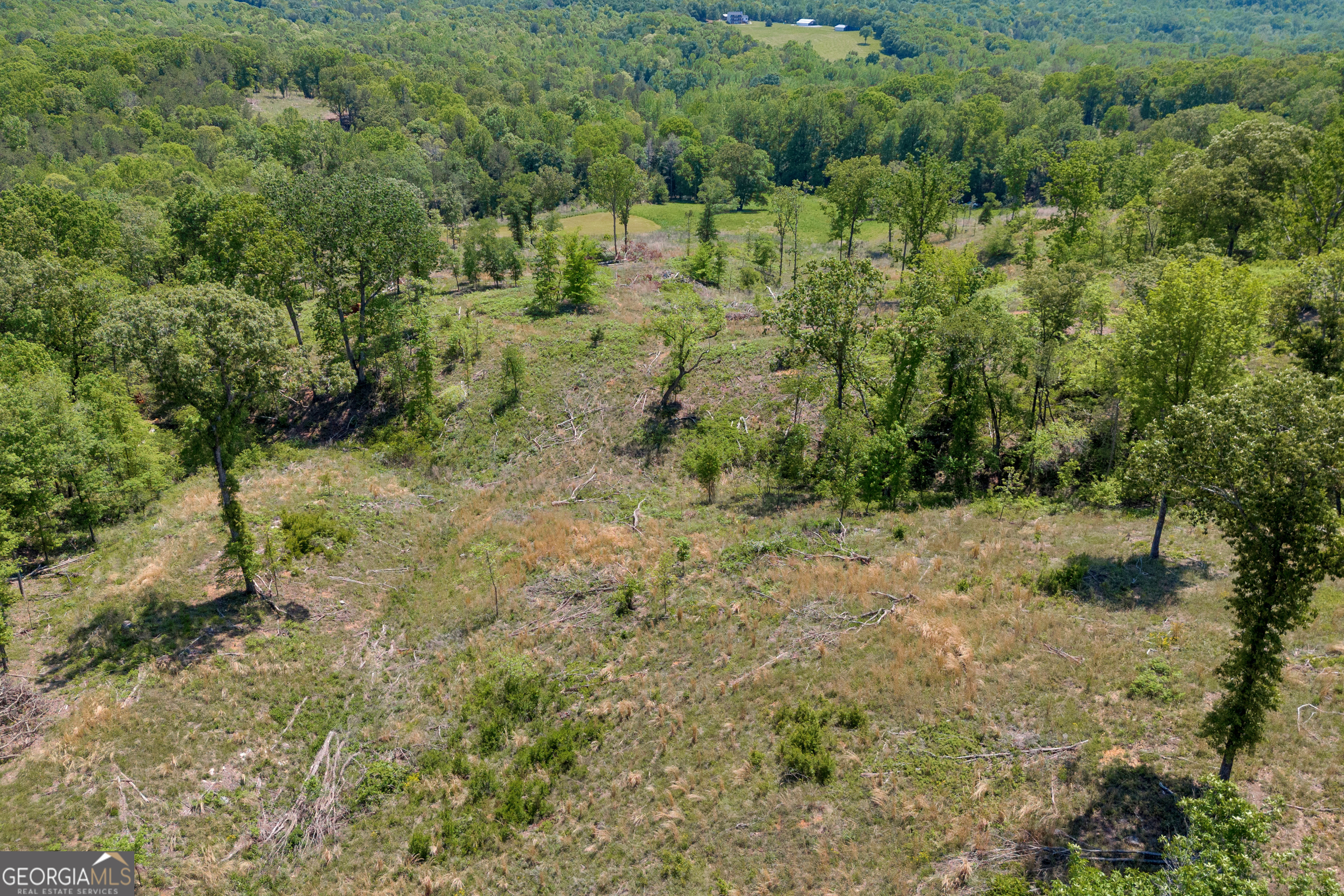 1745 Hannah Creek Church Road Royston, GA 30662 - Photo 46 of 60