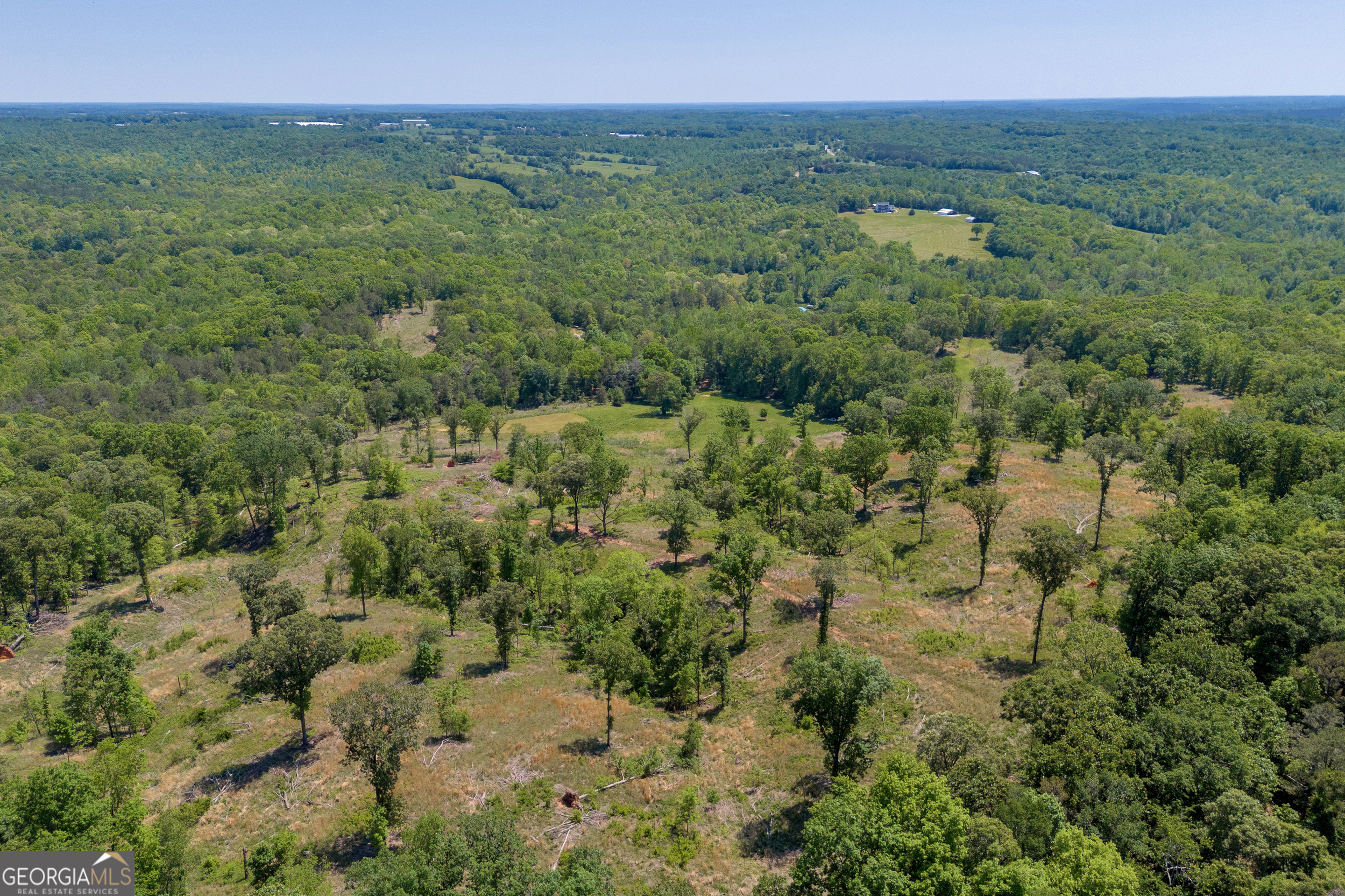 1745 Hannah Creek Church Road Royston, GA 30662 - Photo 47 of 60