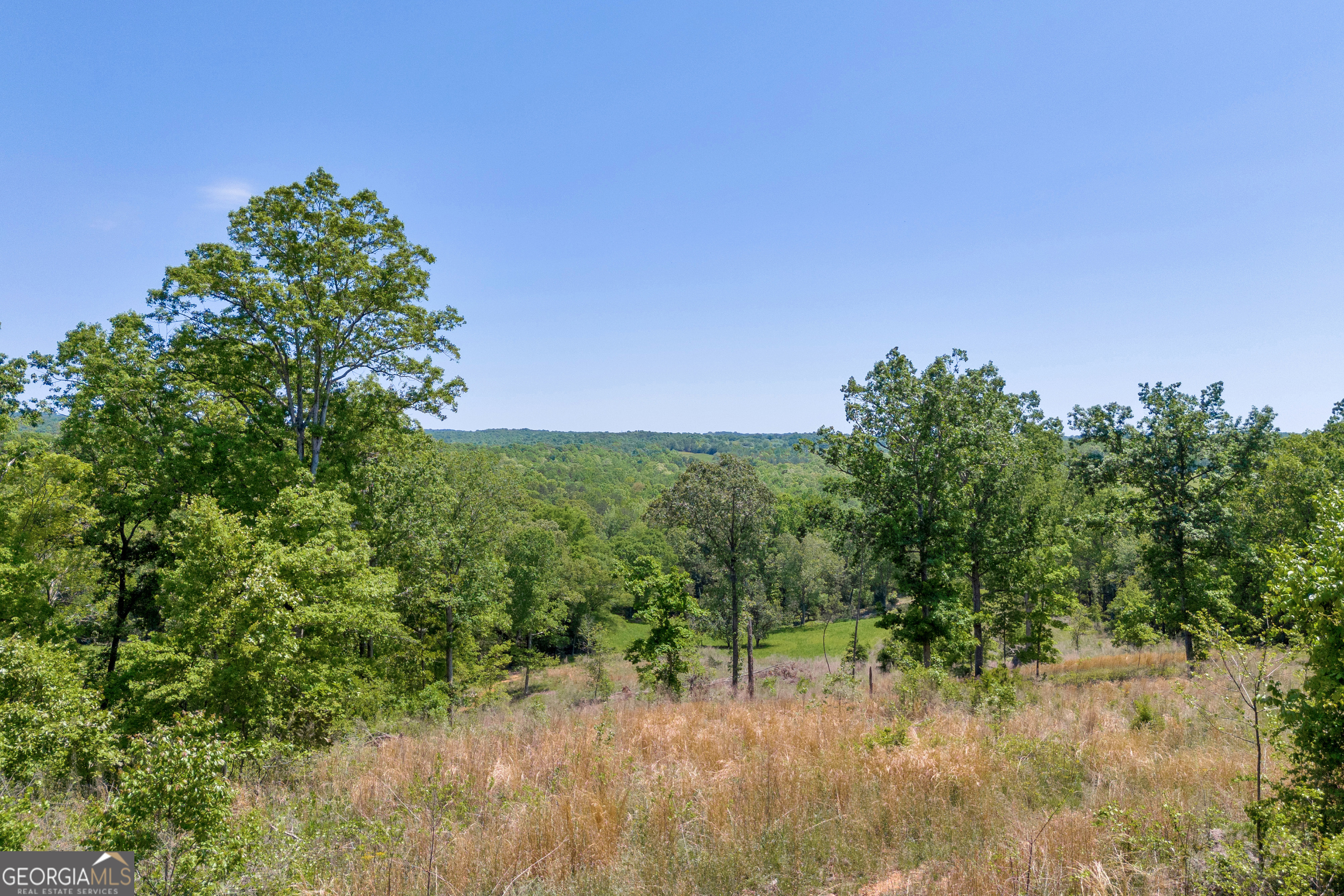 1745 Hannah Creek Church Road Royston, GA 30662 - Photo 49 of 60