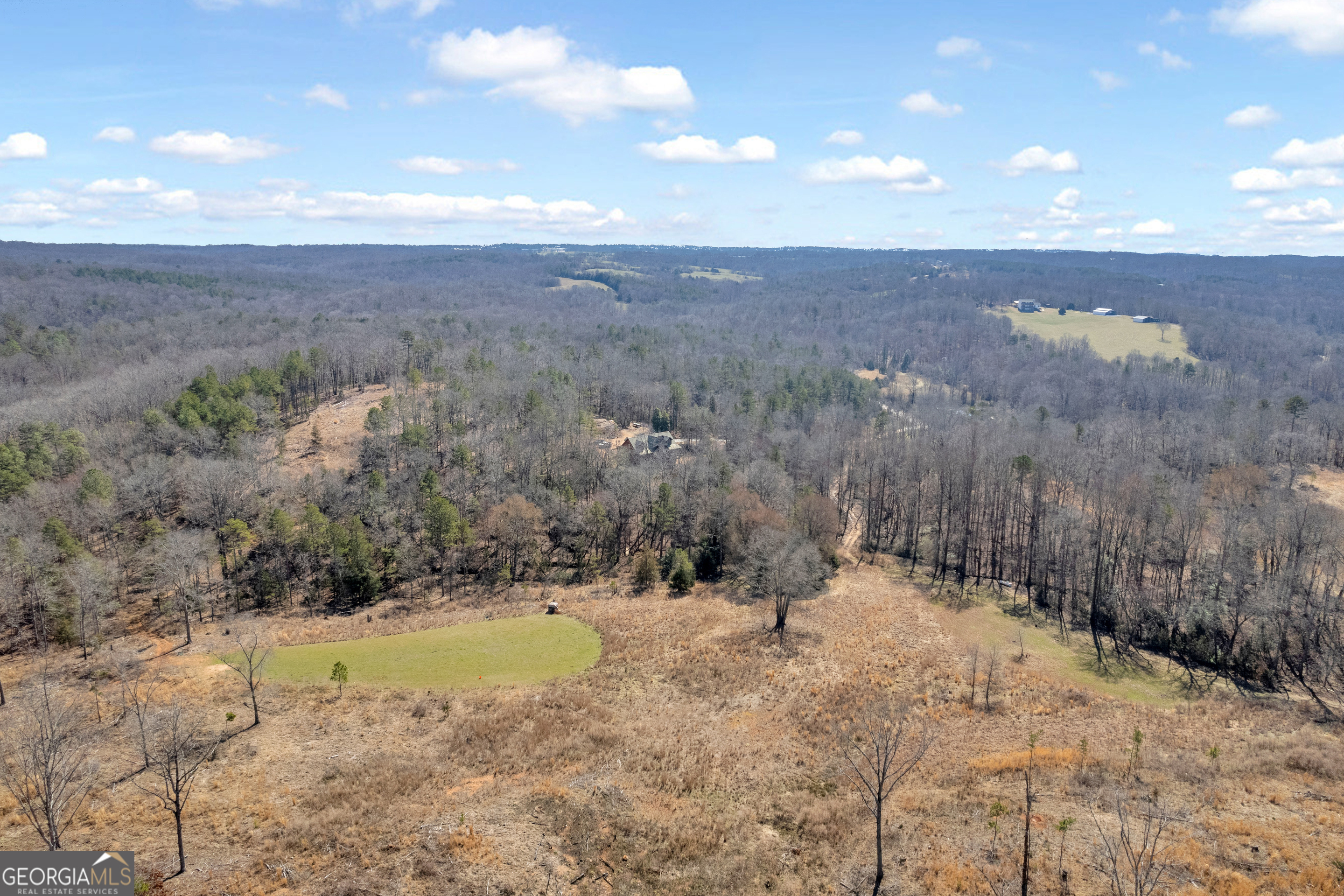 1745 Hannah Creek Church Road Royston, GA 30662 - Photo 52 of 60