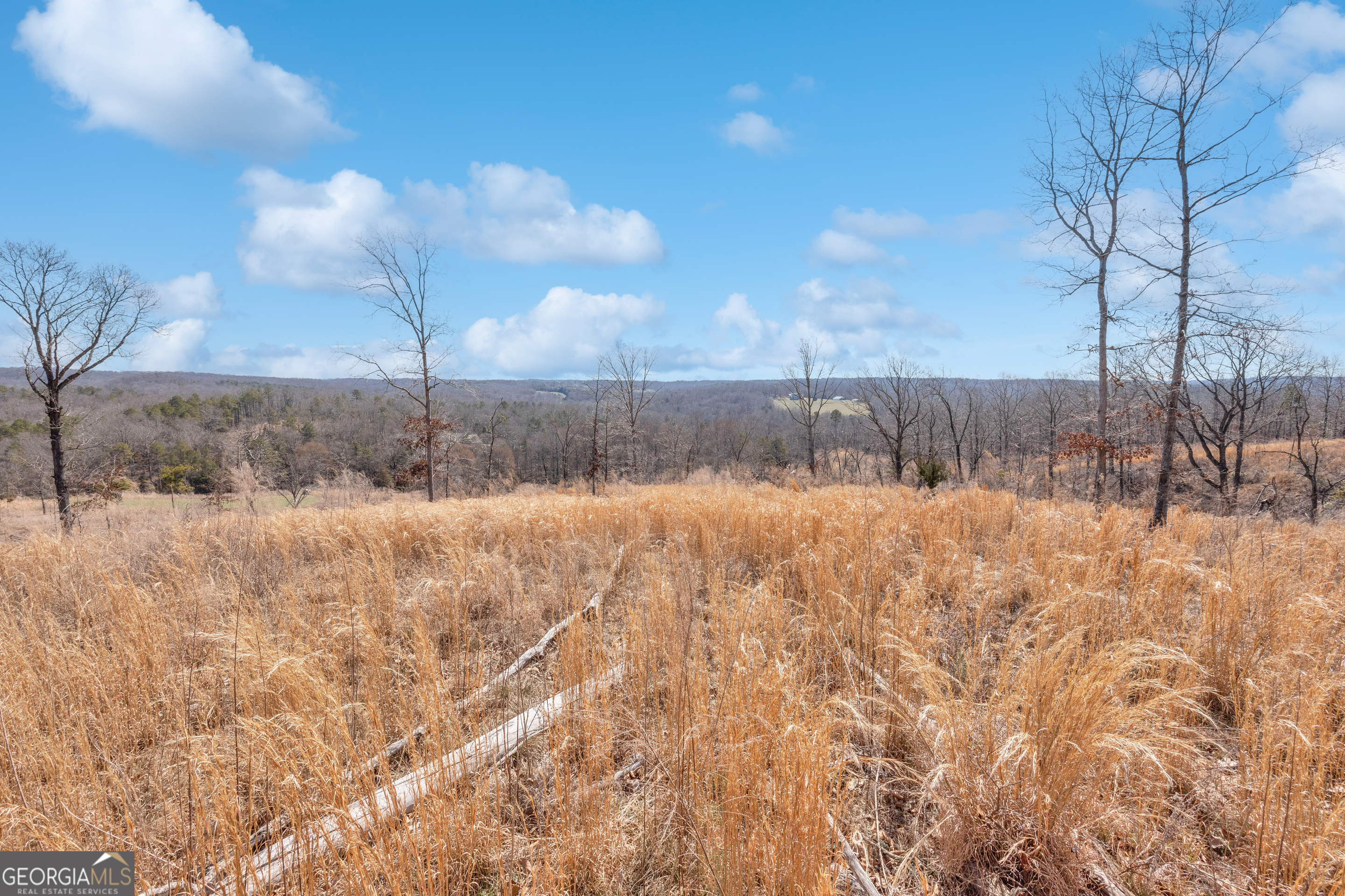 1745 Hannah Creek Church Road Royston, GA 30662 - Photo 53 of 60