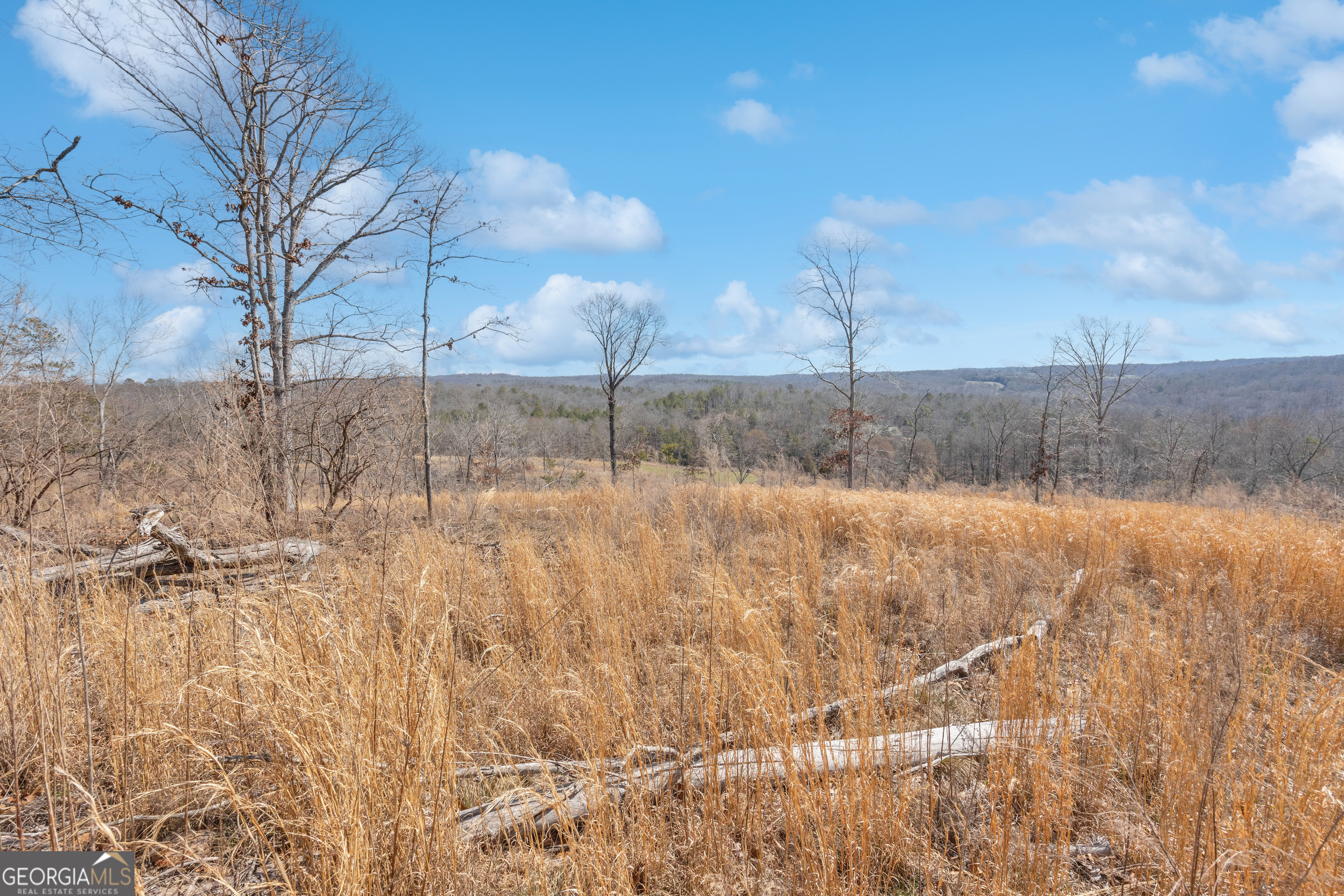 1745 Hannah Creek Church Road Royston, GA 30662 - Photo 54 of 60