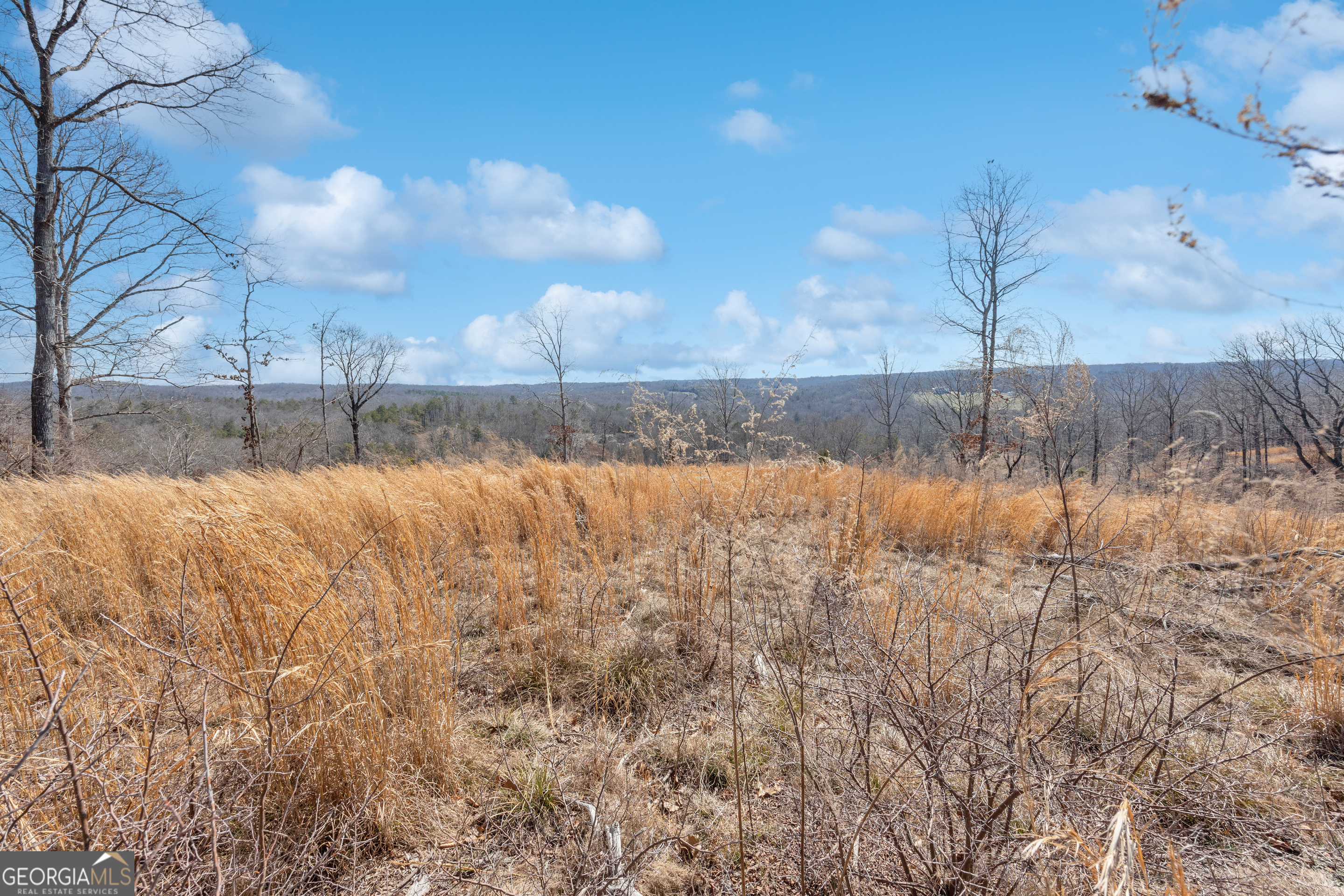 1745 Hannah Creek Church Road Royston, GA 30662 - Photo 55 of 60