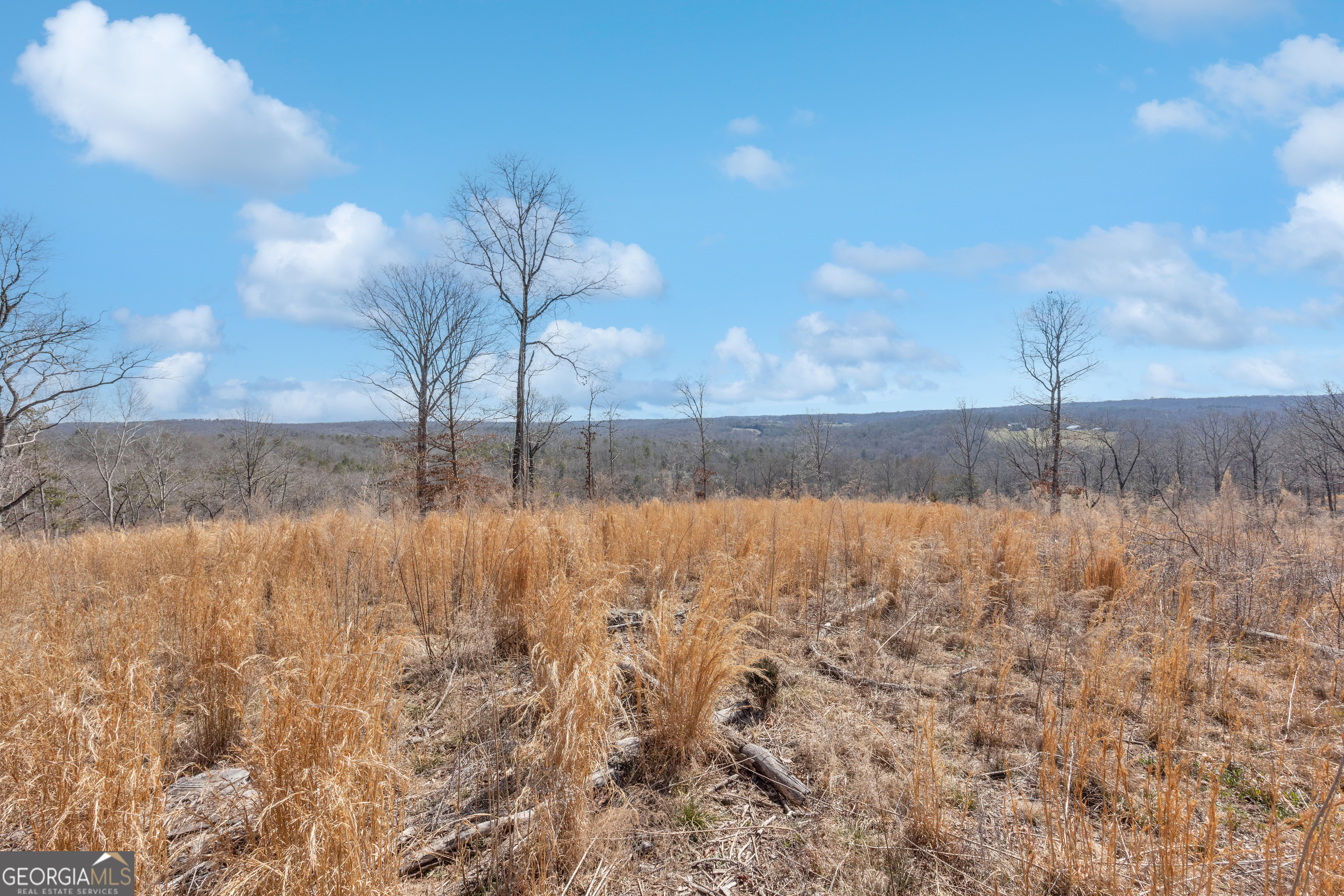 1745 Hannah Creek Church Road Royston, GA 30662 - Photo 56 of 60