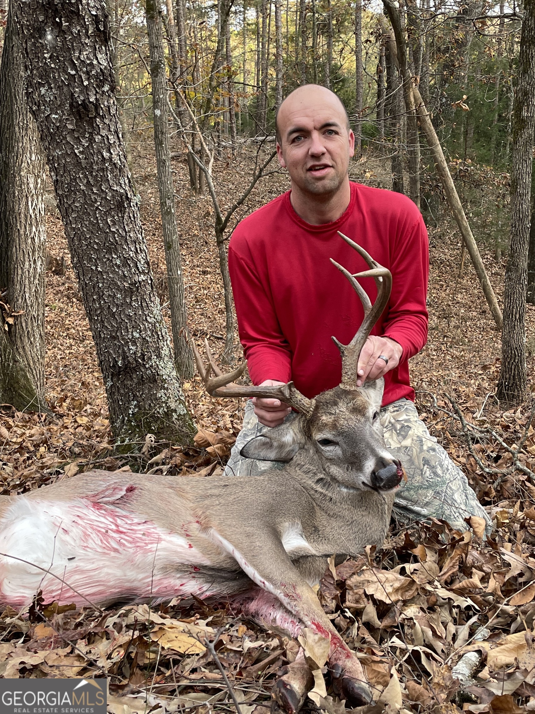 1745 Hannah Creek Church Road Royston, GA 30662 - Photo 59 of 60