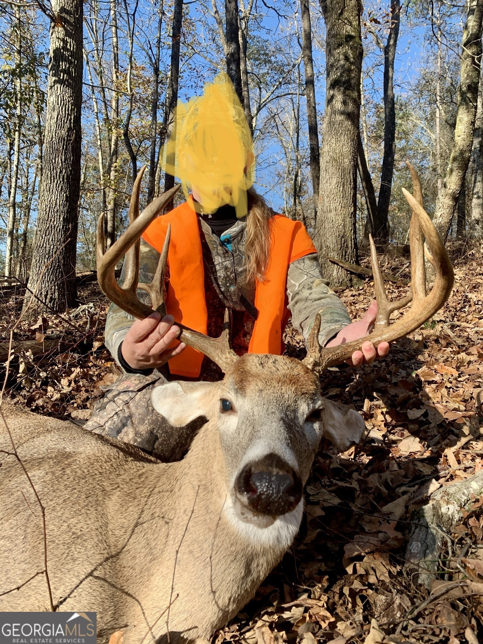 1745 Hannah Creek Church Road Royston, GA 30662 - Photo 60 of 60