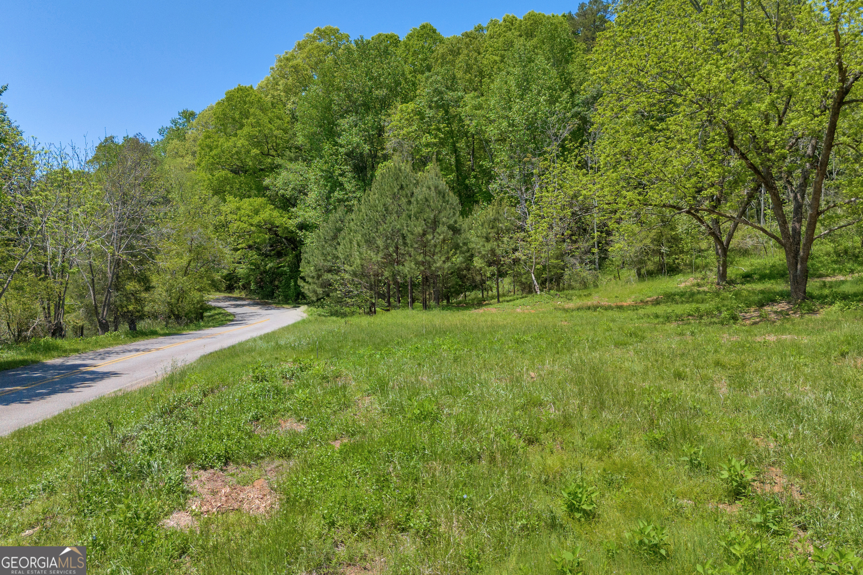 1745 Hannah Creek Church Road Royston, GA 30662 - Photo 7 of 60