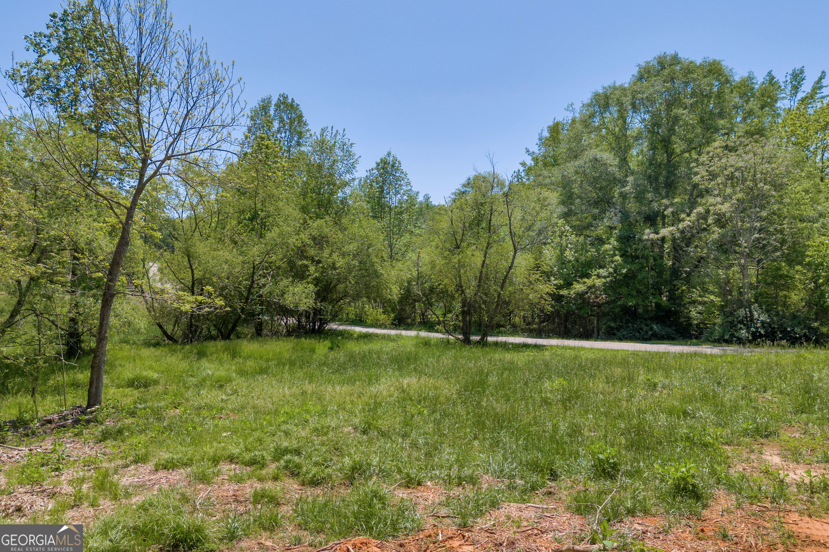 1745 Hannah Creek Church Road Royston, GA 30662 - Photo 8 of 60