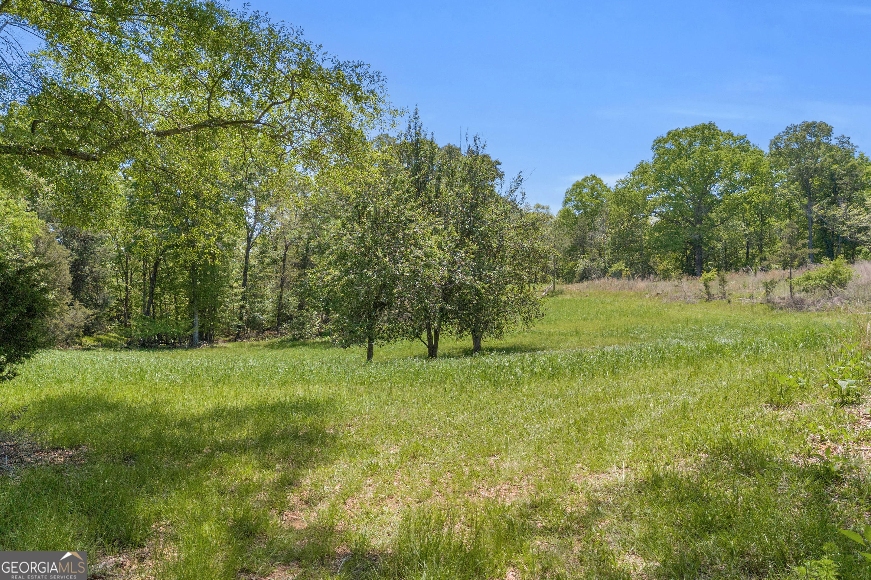 1745 Hannah Creek Church Road Royston, GA 30662 - Photo 9 of 60