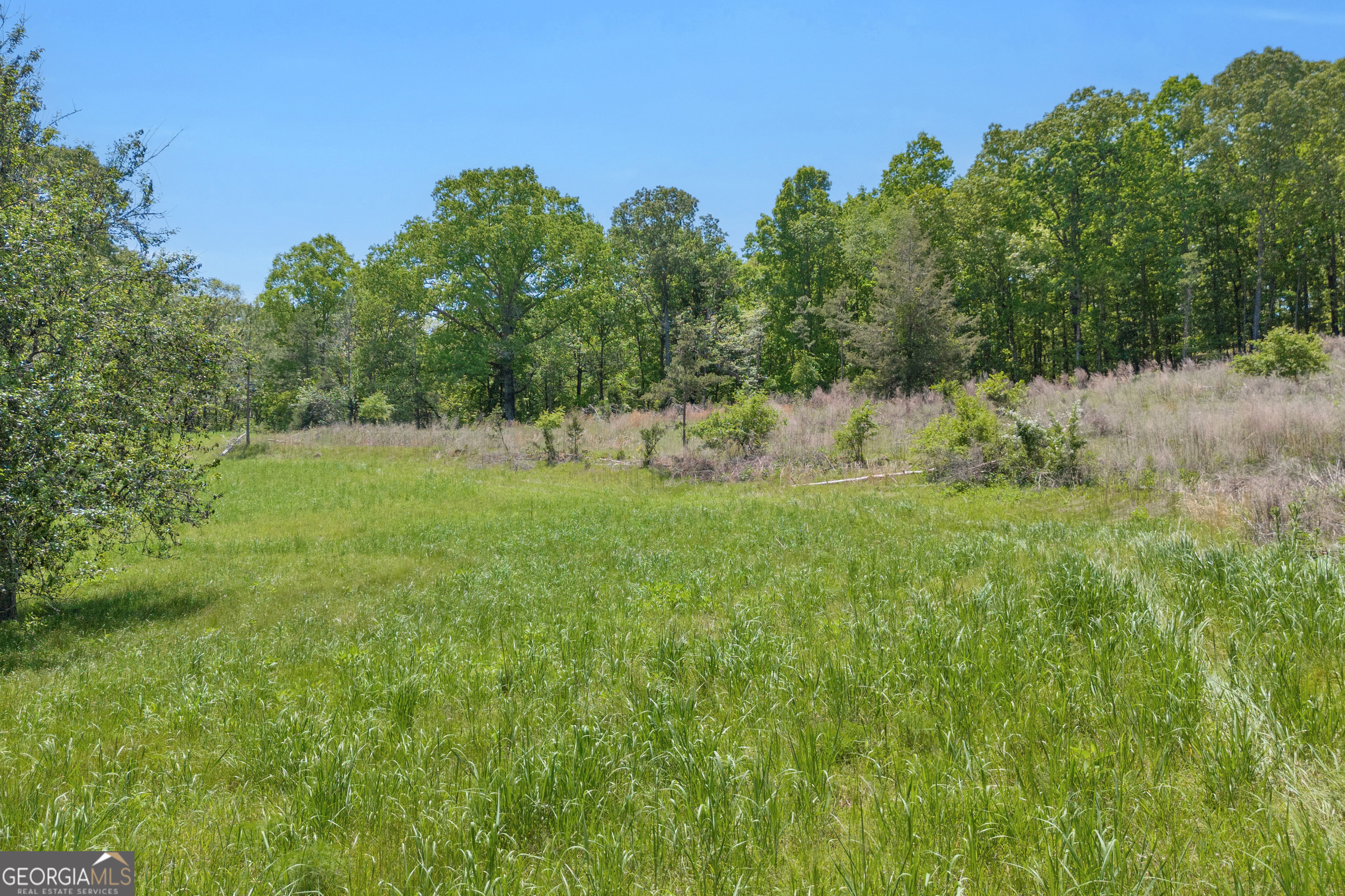 1745 Hannah Creek Church Road Royston, GA 30662 - Photo 10 of 60