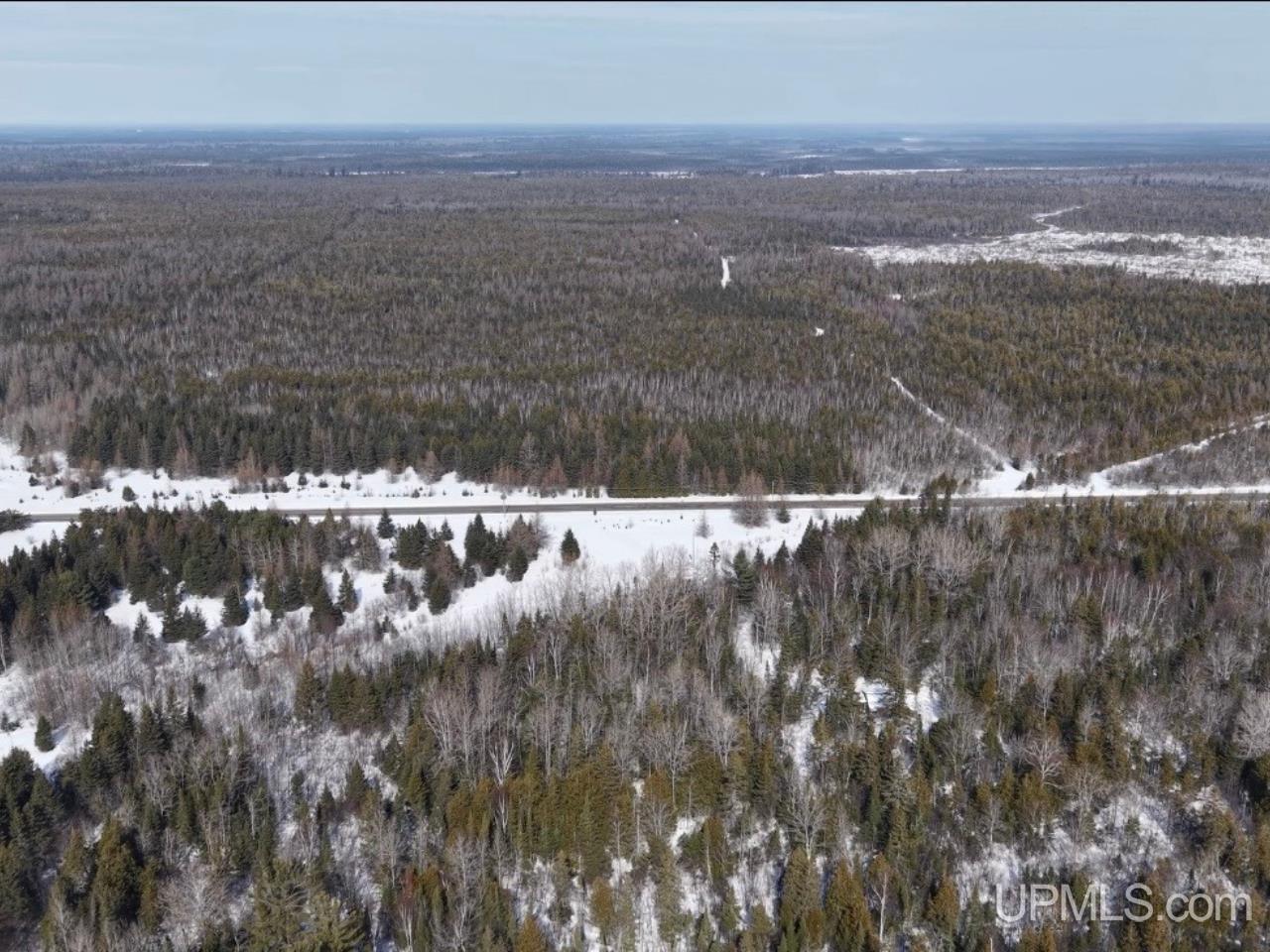 W 80-acres River Road Gulliver, MI 49840 - Photo 26 of 29