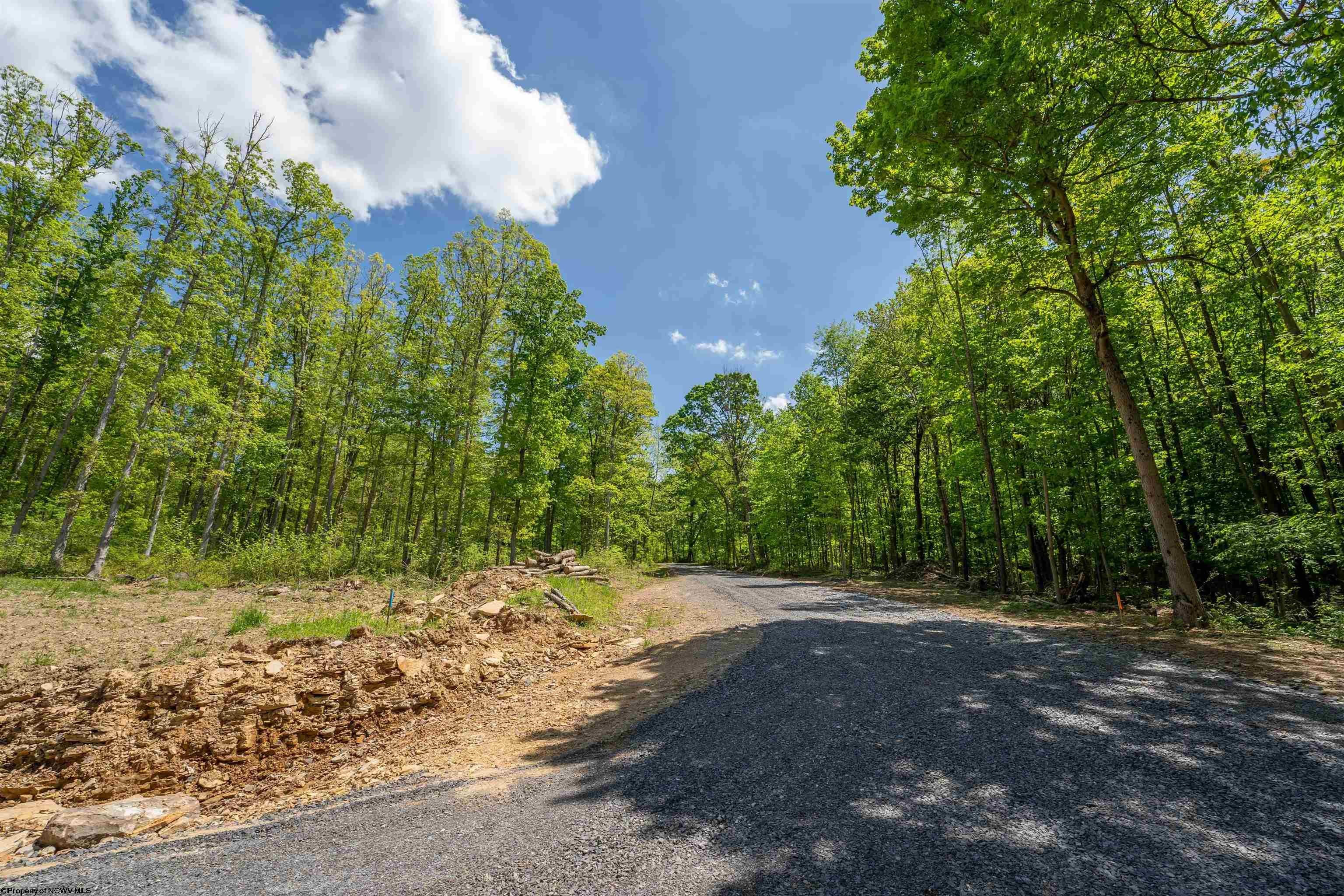 Lot 12 Raspberry Village Morgantown, WV 26505 - Photo 1 of 5 Gallery Image 1