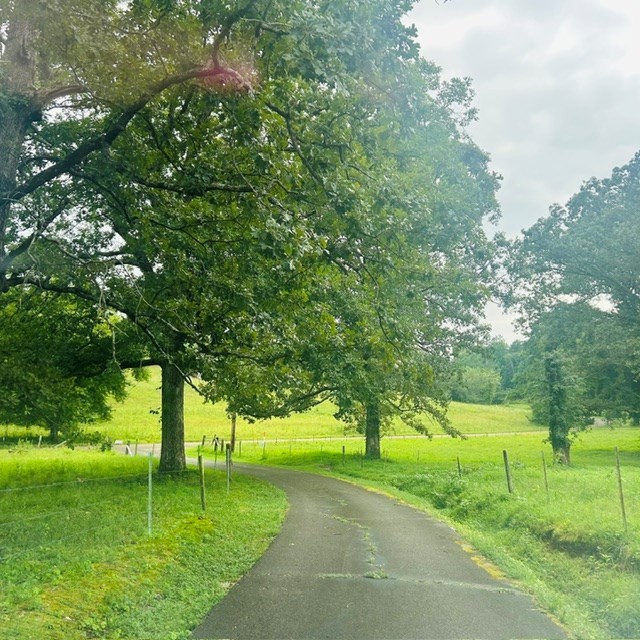 1030 Stones Road Camden, TN 38320 - Photo 7 of 54 Gallery Image 7