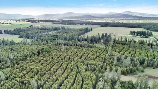 $699,000 | 2111 West Mason Road, Deer Park, WA 99006
