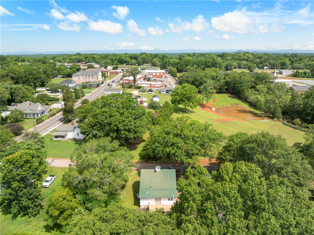 108 Tarrant Street Central, SC 29630 - Photo 39 of 42 An aerial perspective reveals a serene pond, lush greenery, and distant mountain vistas.
