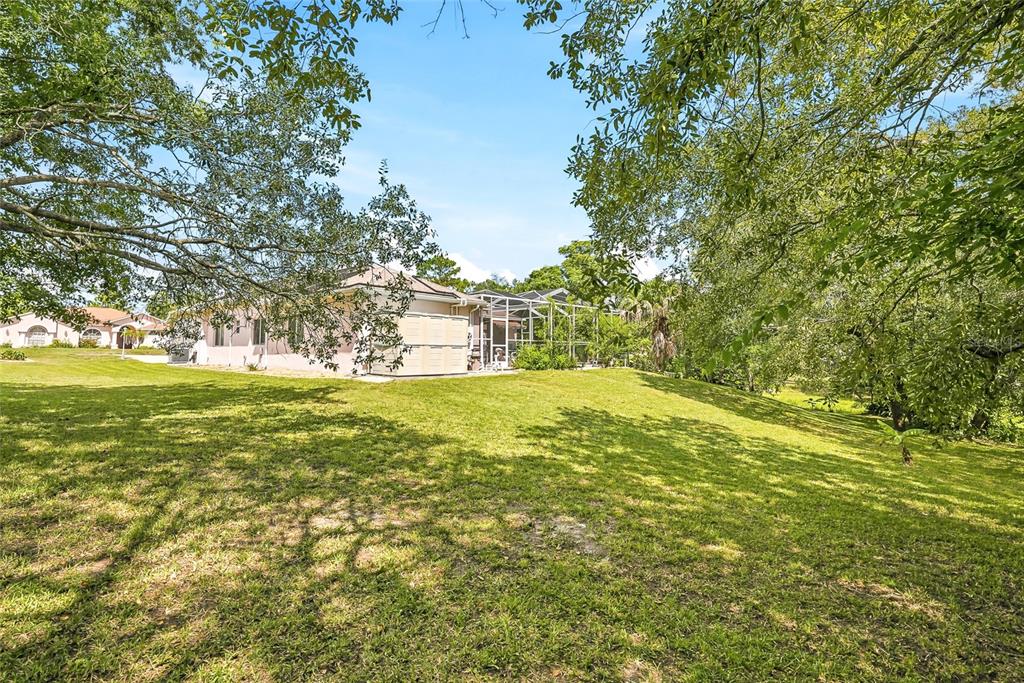 8206 Nightingale Road Weeki Wachee, FL 34613 - Photo 43 of 45 Gallery Image 43