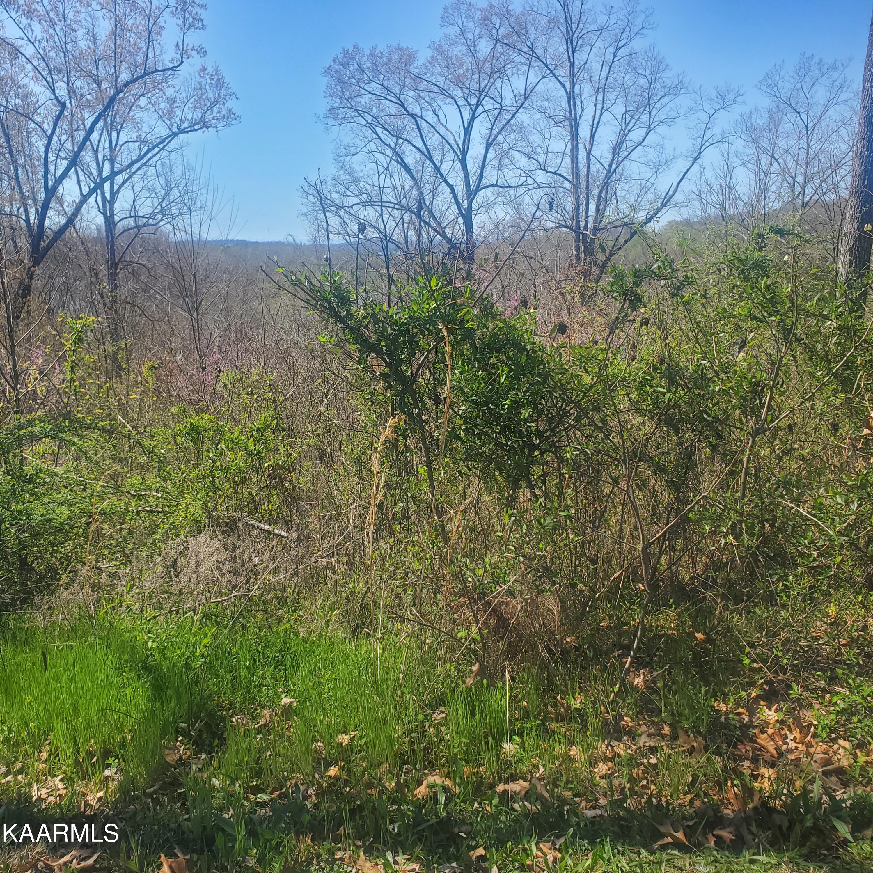 Lot 24 Aidans Trail Rutledge, TN 37861 - Photo 11 of 22 11