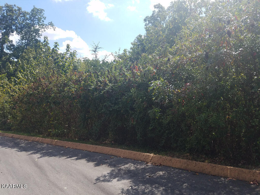 Lot 24 Aidans Trail Rutledge, TN 37861 - Photo 12 of 22 12