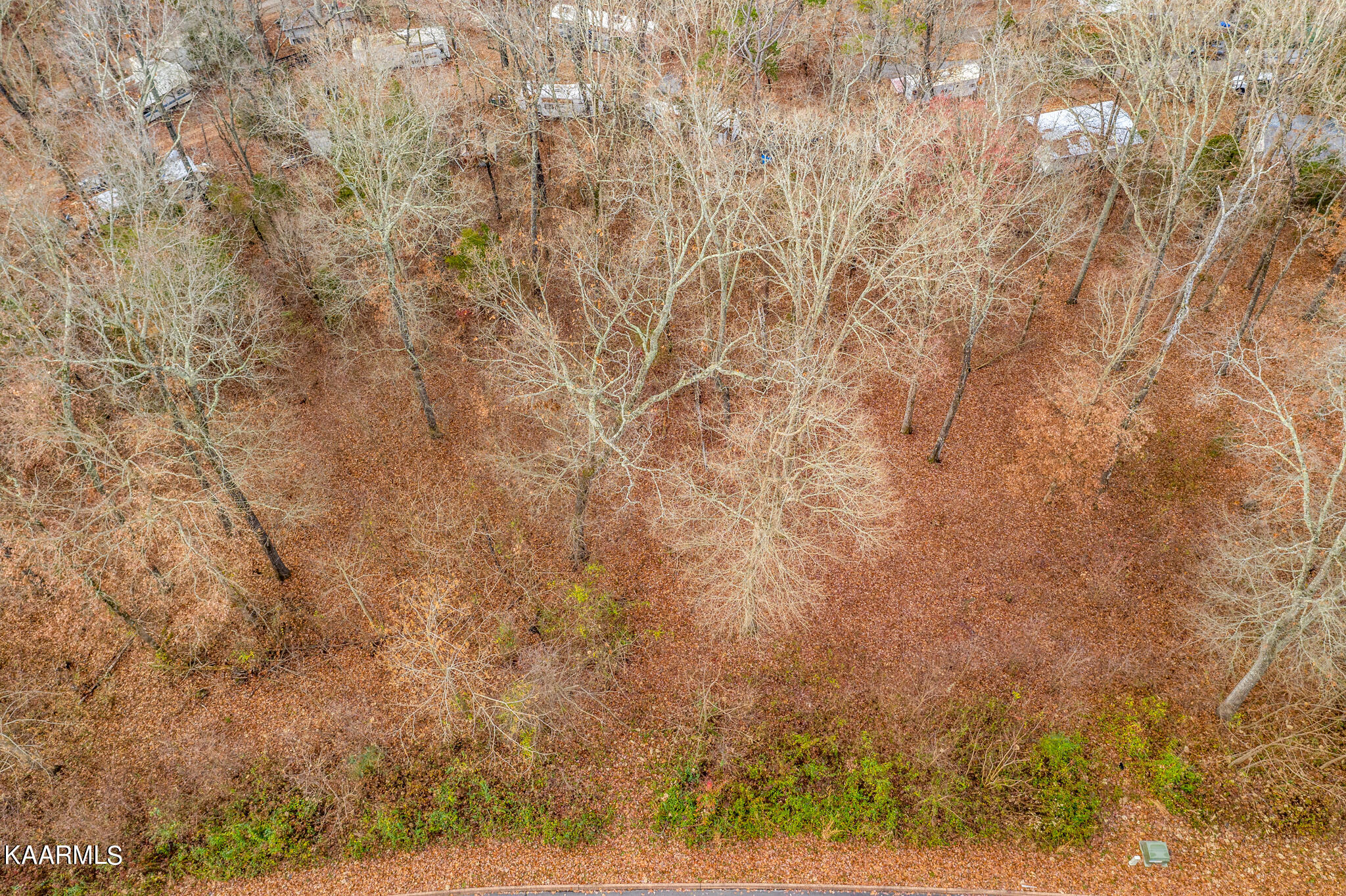 Lot 24 Aidans Trail Rutledge, TN 37861 - Photo 2 of 22 2
