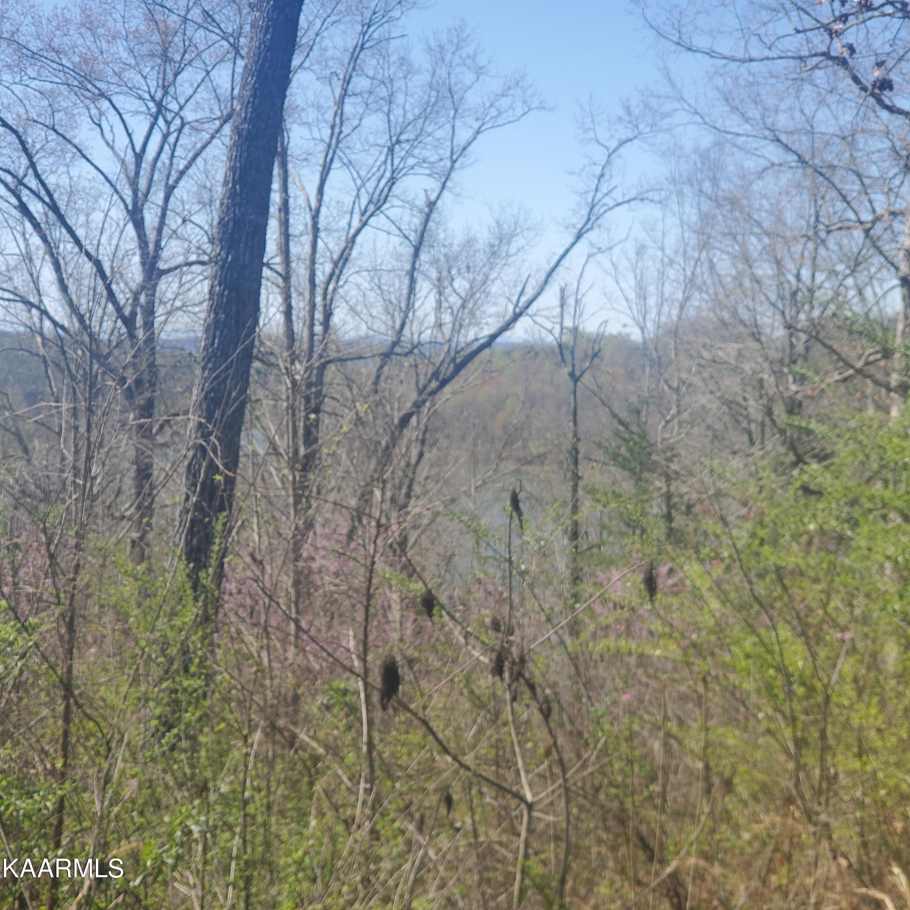 Lot 24 Aidans Trail Rutledge, TN 37861 - Photo 5 of 22 5