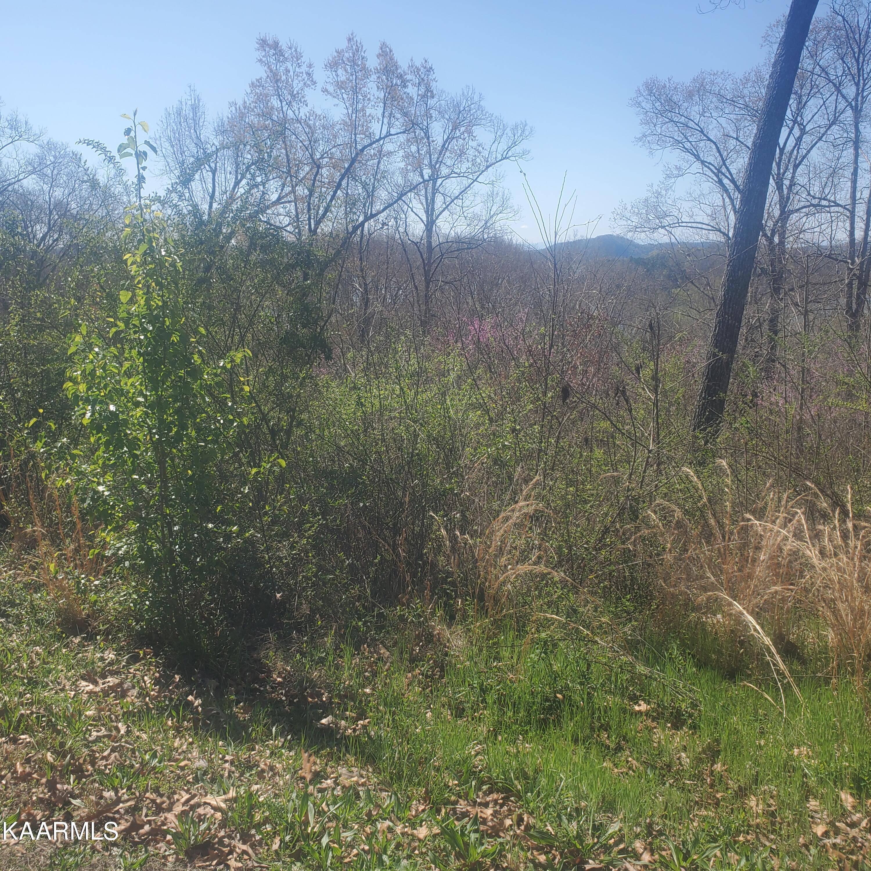 Lot 24 Aidans Trail Rutledge, TN 37861 - Photo 10 of 22 10