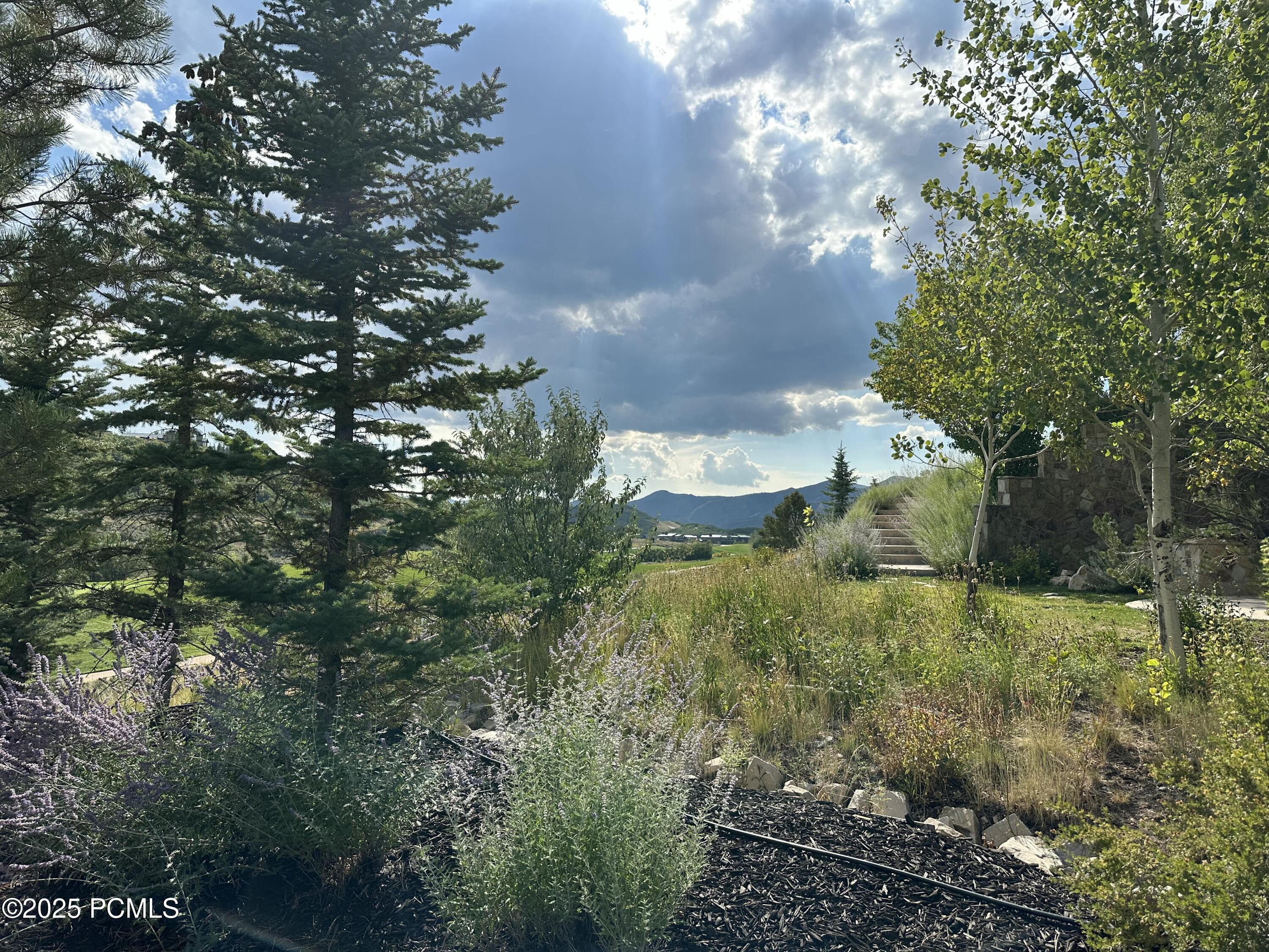 2990 Primrose Trail Kamas, UT 84036 - Photo 11 of 114