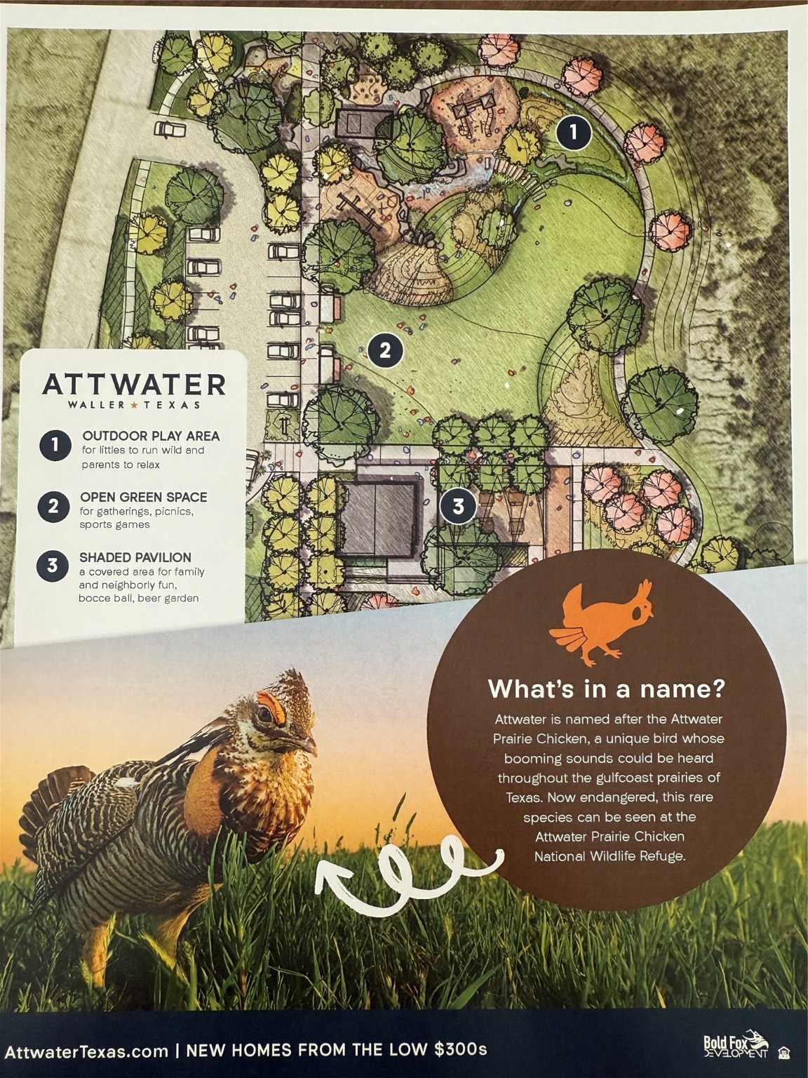 620 Deep Sands Drive Hempstead, TX 77445 - Photo 33 of 35