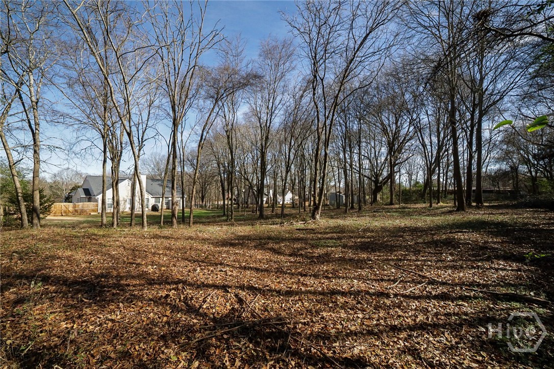 250 Anniston Drive Athens, GA 30607 - Photo 35 of 40