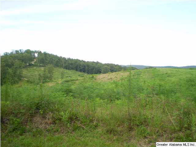 240 Red Oak Lane Springville, AL 35146 - Photo 7 of 26