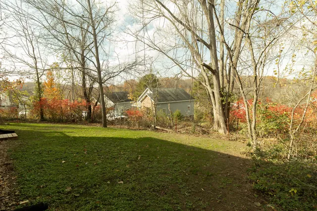 a view of yard with large trees