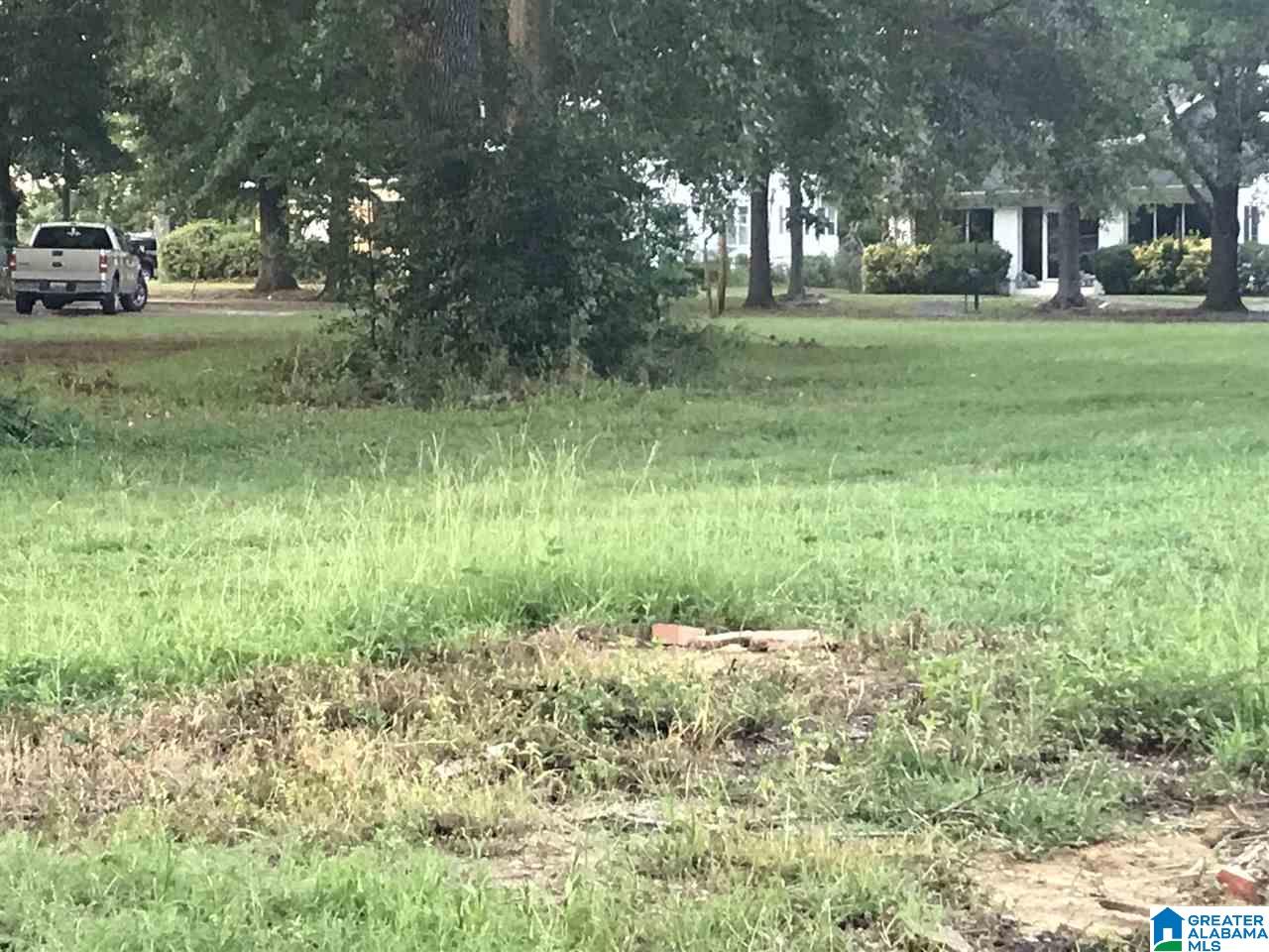 0 8th Street, Unit 1 Clanton, AL 35045 - Photo 4 of 5