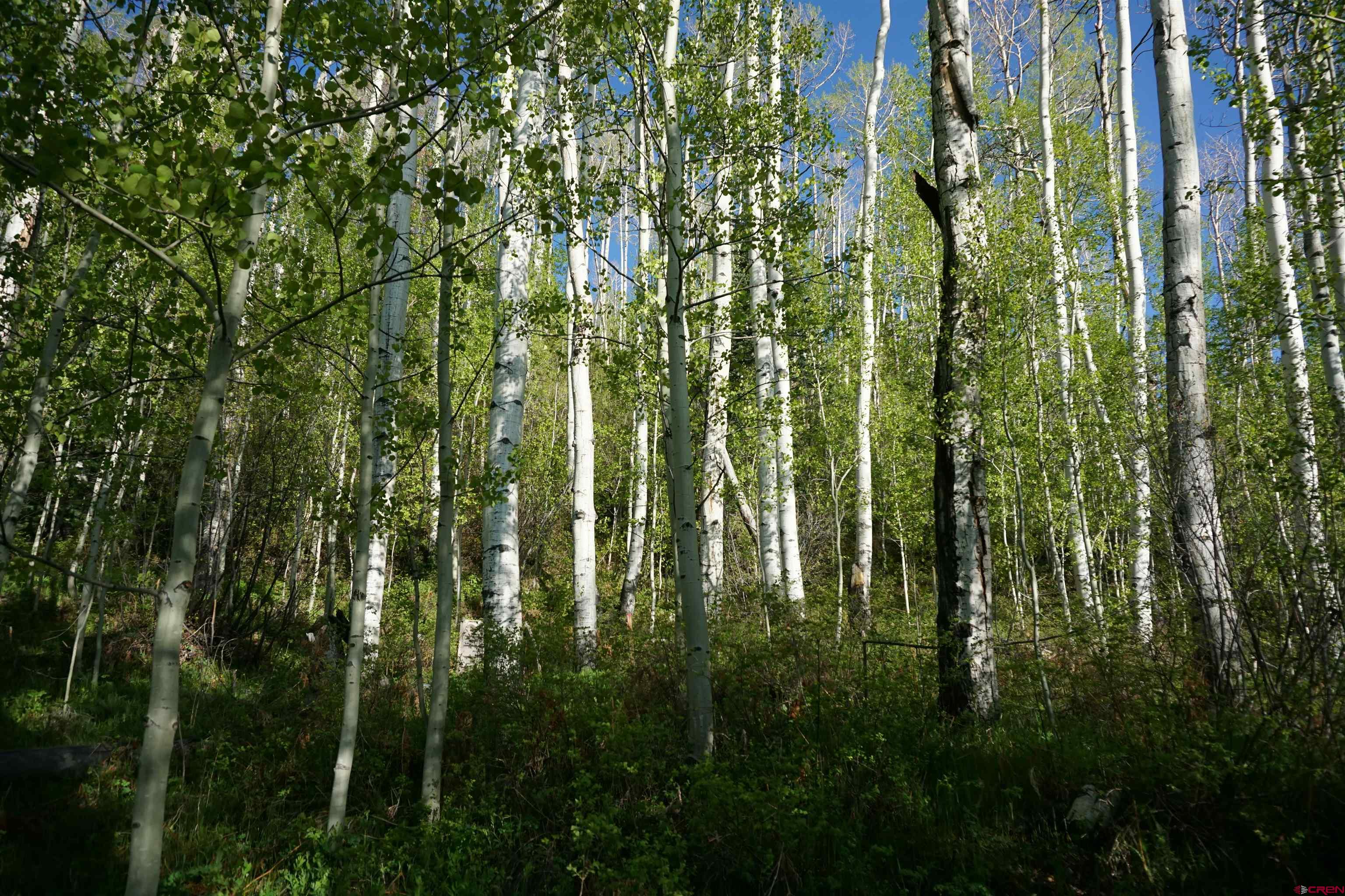350 Falcon Ridge Road Durango, CO 81301 - Photo 12 of 39
