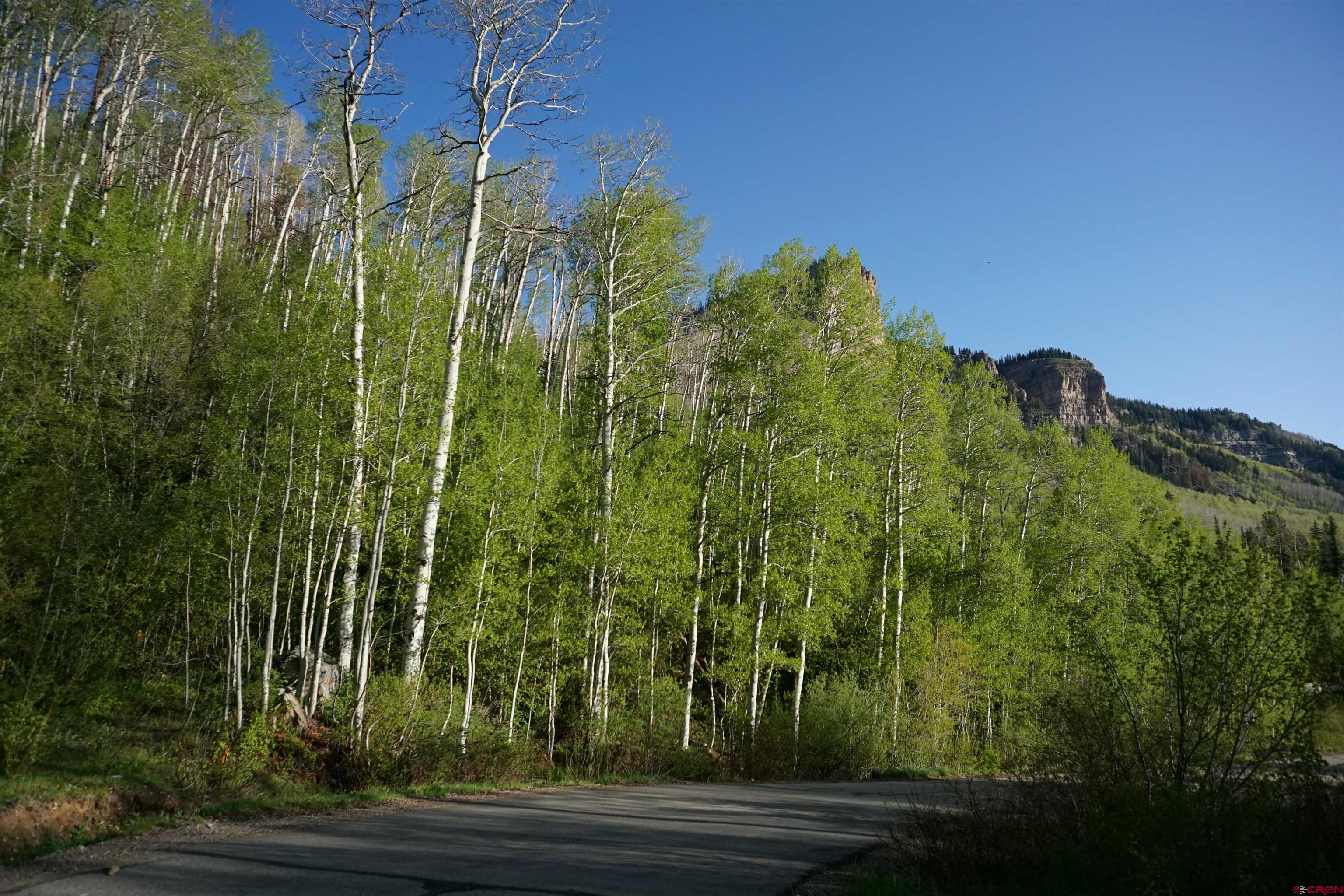 350 Falcon Ridge Road Durango, CO 81301 - Photo 14 of 39 a view of a yard