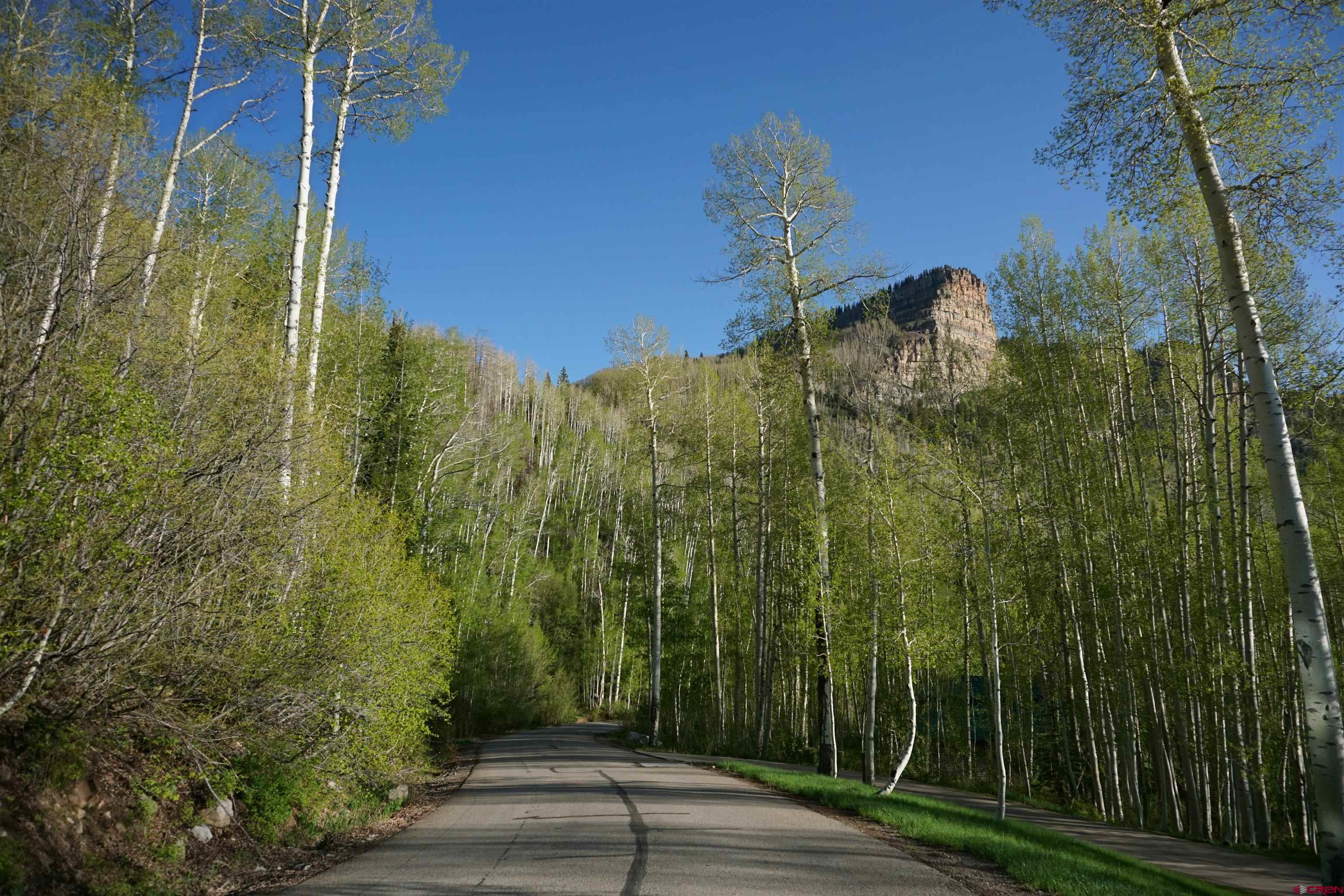 350 Falcon Ridge Road Durango, CO 81301 - Photo 15 of 39 a view of a garden